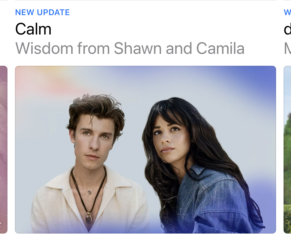 "Wisdom from Shawn and Camila", 2 people in their very early 20s