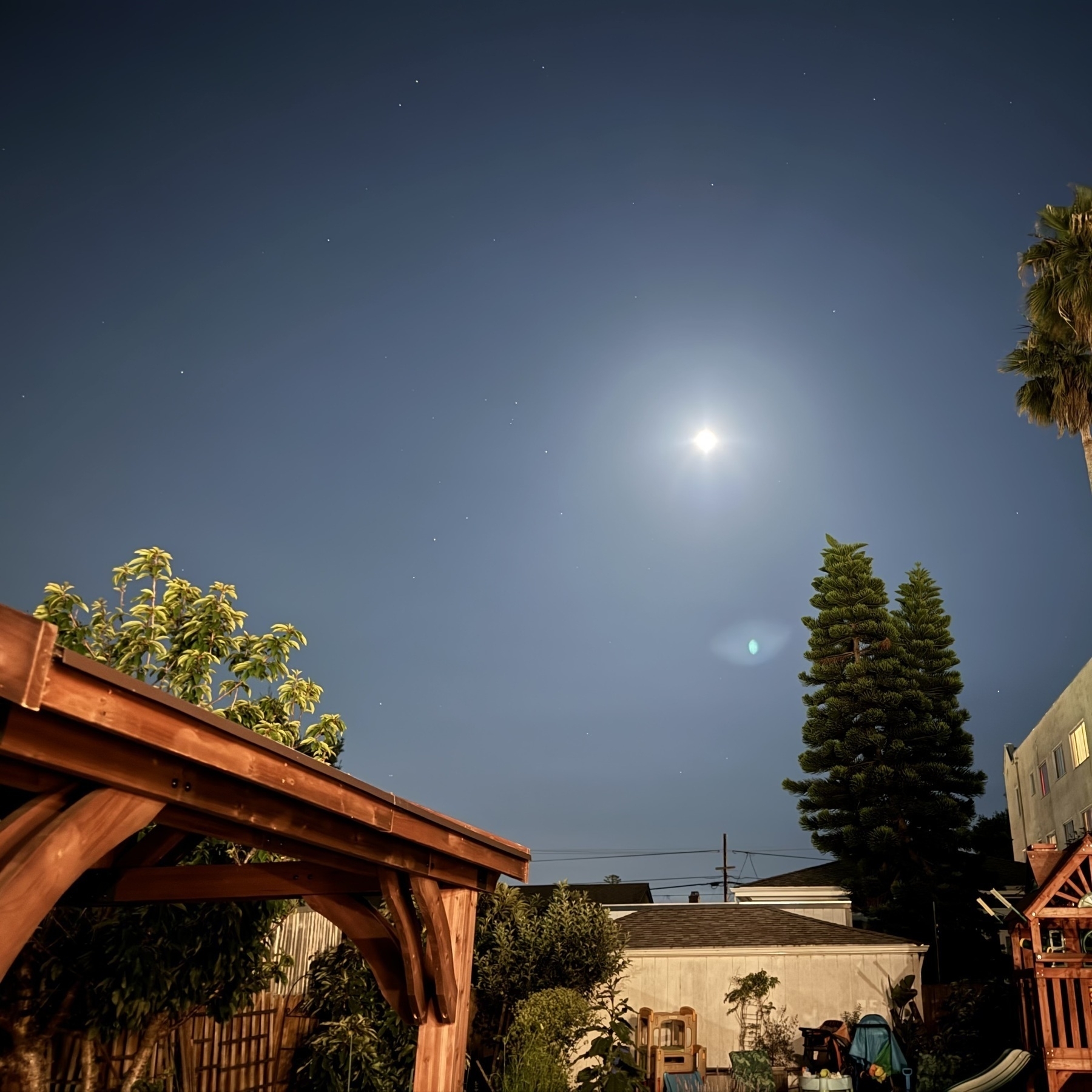 A dark wood pergola in a back yard. Pine trees and palm trees in the near distance. The moon and stars in the back.