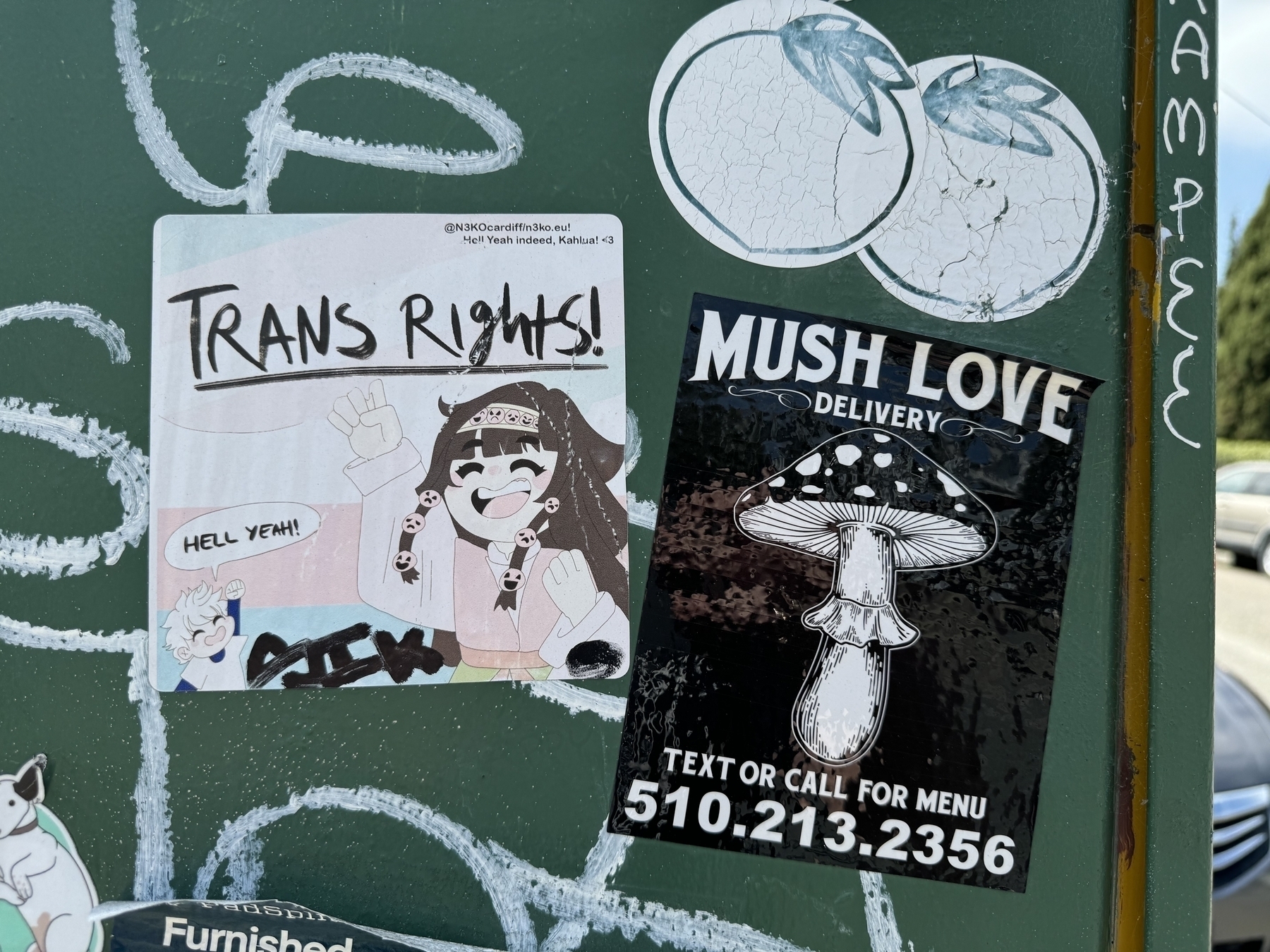 A bunch of stickers on a service box. One has anime characters: one saying "trans rights!" and another saying "hell yeah!" A second sticker is for a psychedelic mushroom delivery.