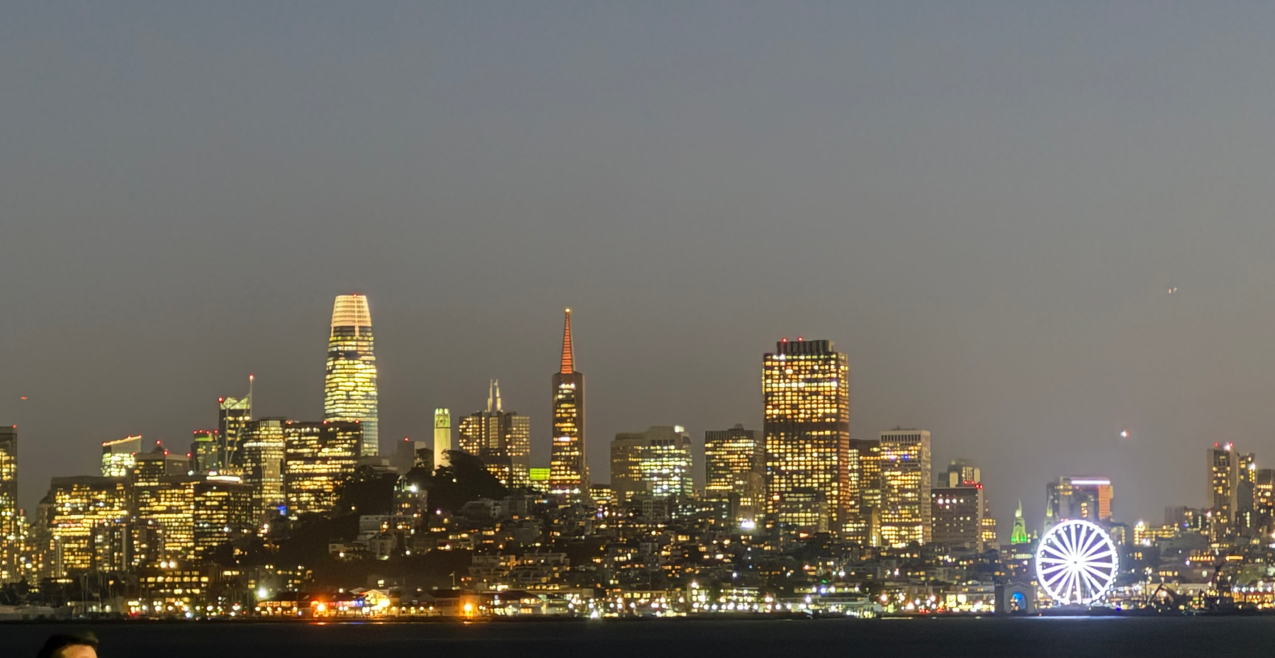 The San Francisco skyline against a foggy sky. There are a million twinkling lights, a million souls in giant skyscrapers, glimmering office buildings, thousands of houses, and a bustling shoreline.