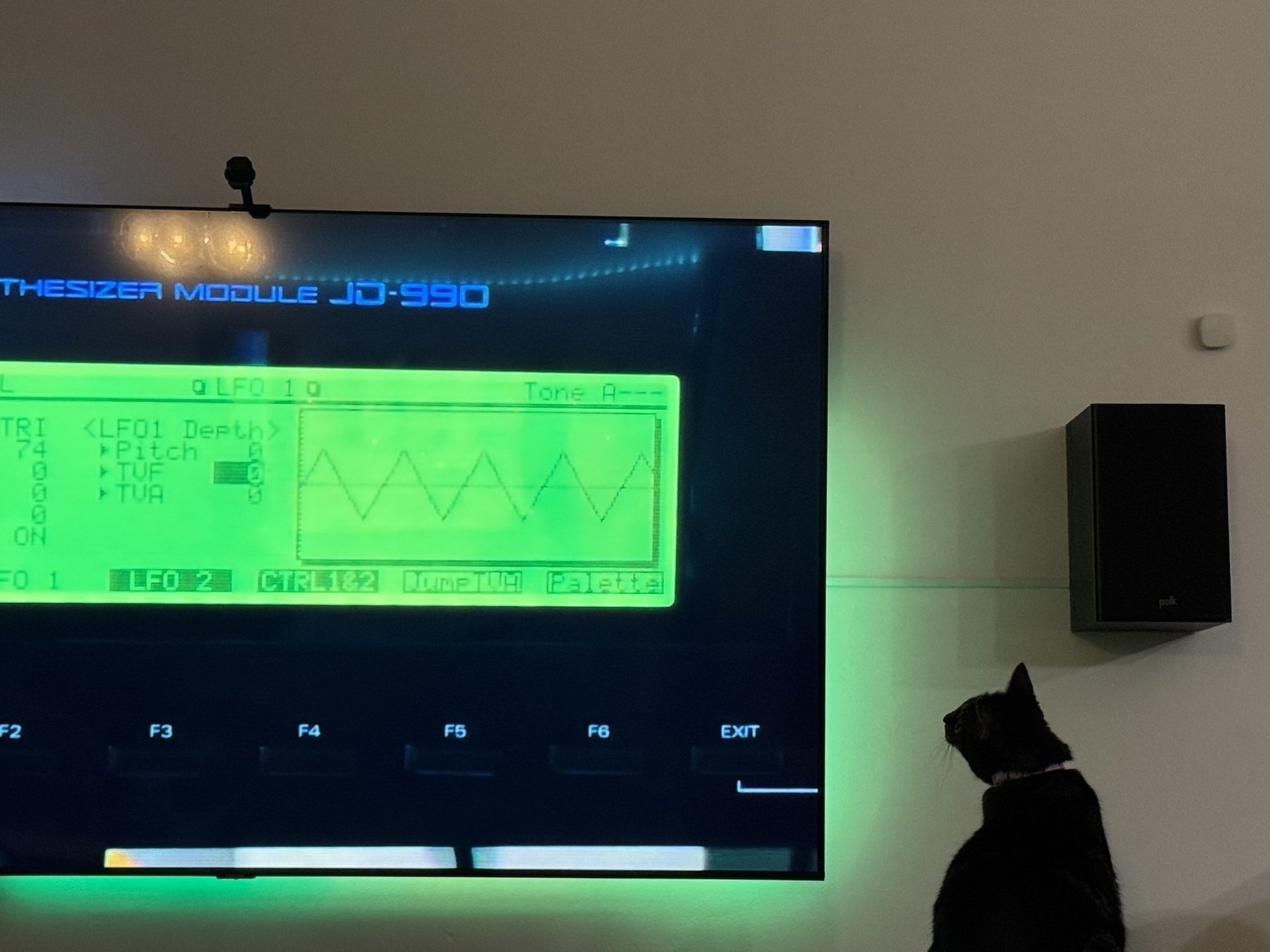 A kitty is staring intently at TV showing a closeup of a synthesizer control panel.