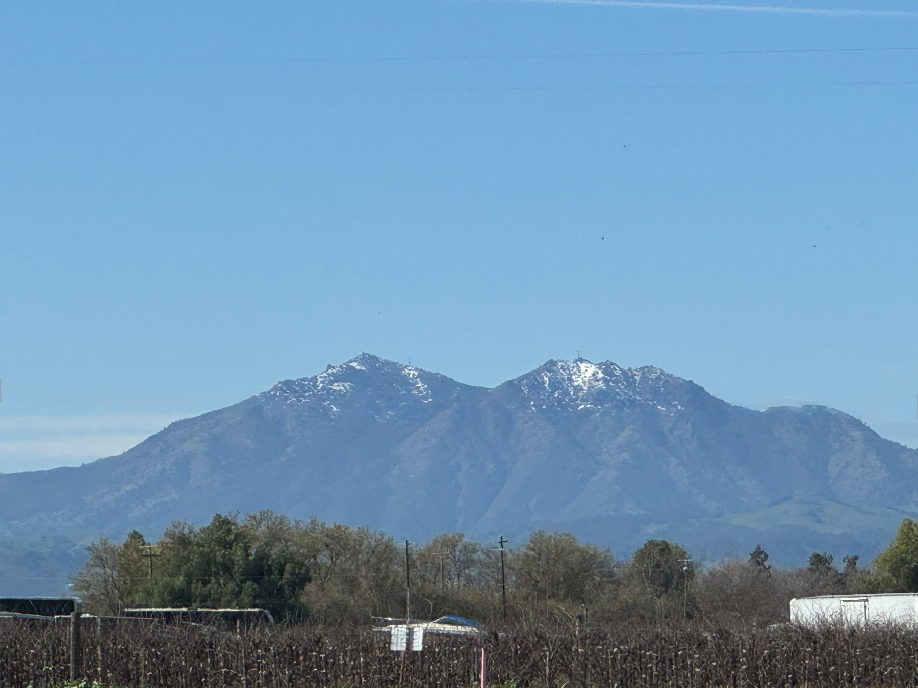 The foreground is a brown, leafless vineyard, then a line of trees. In the distance is a large mountain covered with grass and trees, and its peak has lots of pockets of snow.