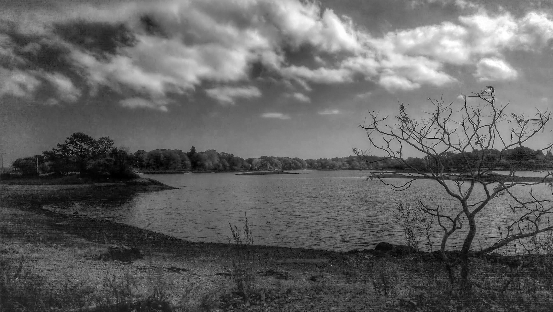 A black and white photo of a body of water, one lone leafless tree to the right of the photo. There are clouds in the sky, but they are not reflected in the water. The overall mood is lonely and stark. 