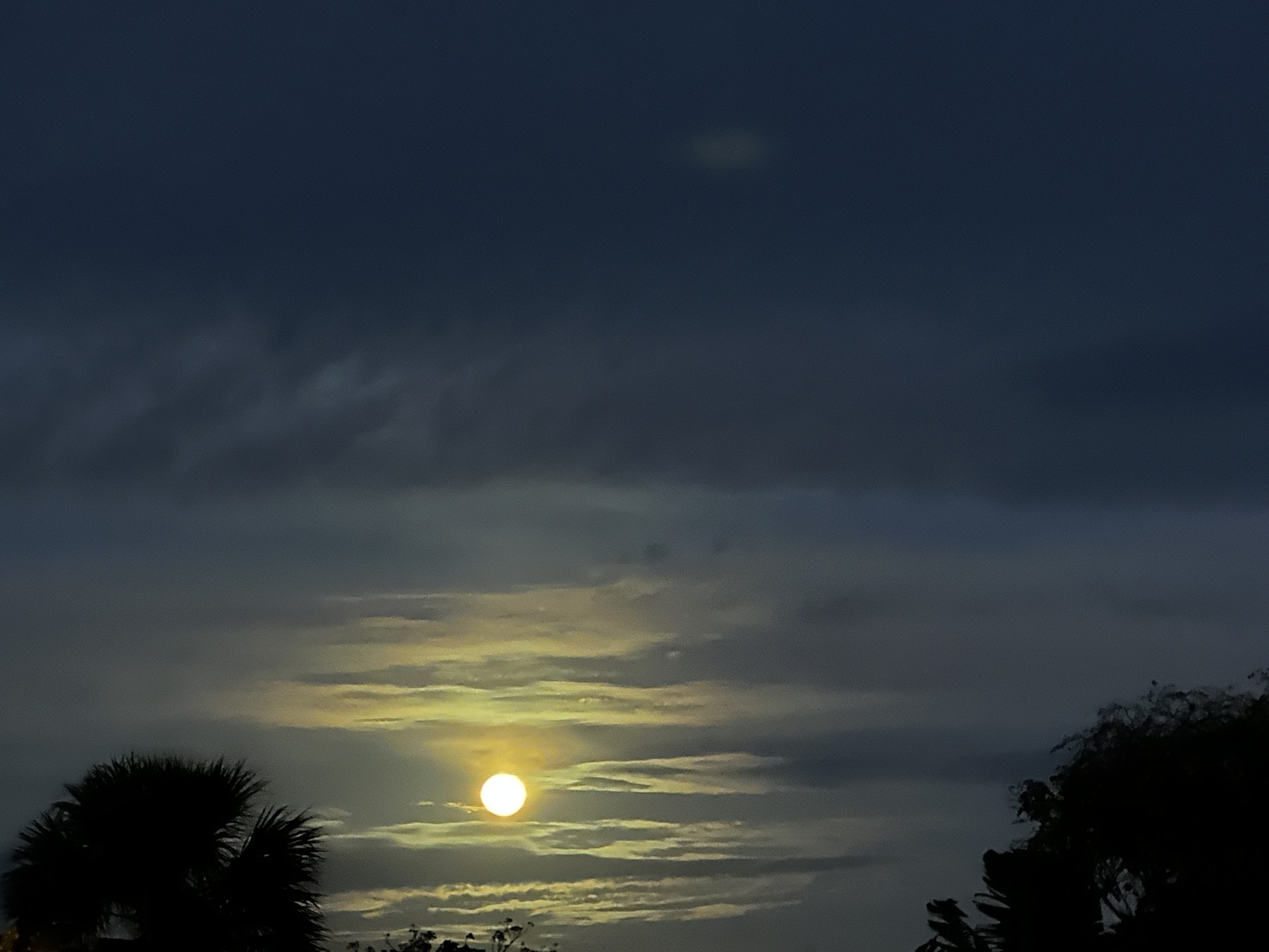 Moon rise through clouds over a tree bordered horizon. 