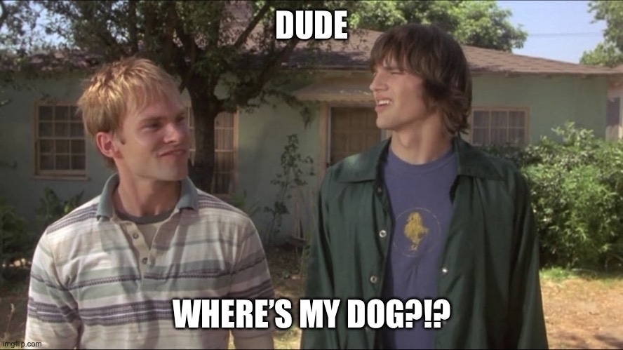 Meme from “Dude, where’s my car” (two you g white men looking confused) — caption reads “Dude, where’s my dog?!?”