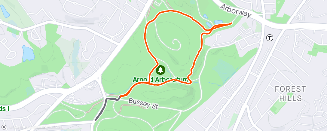 Strava route showing the circuitous route my dogs picked.