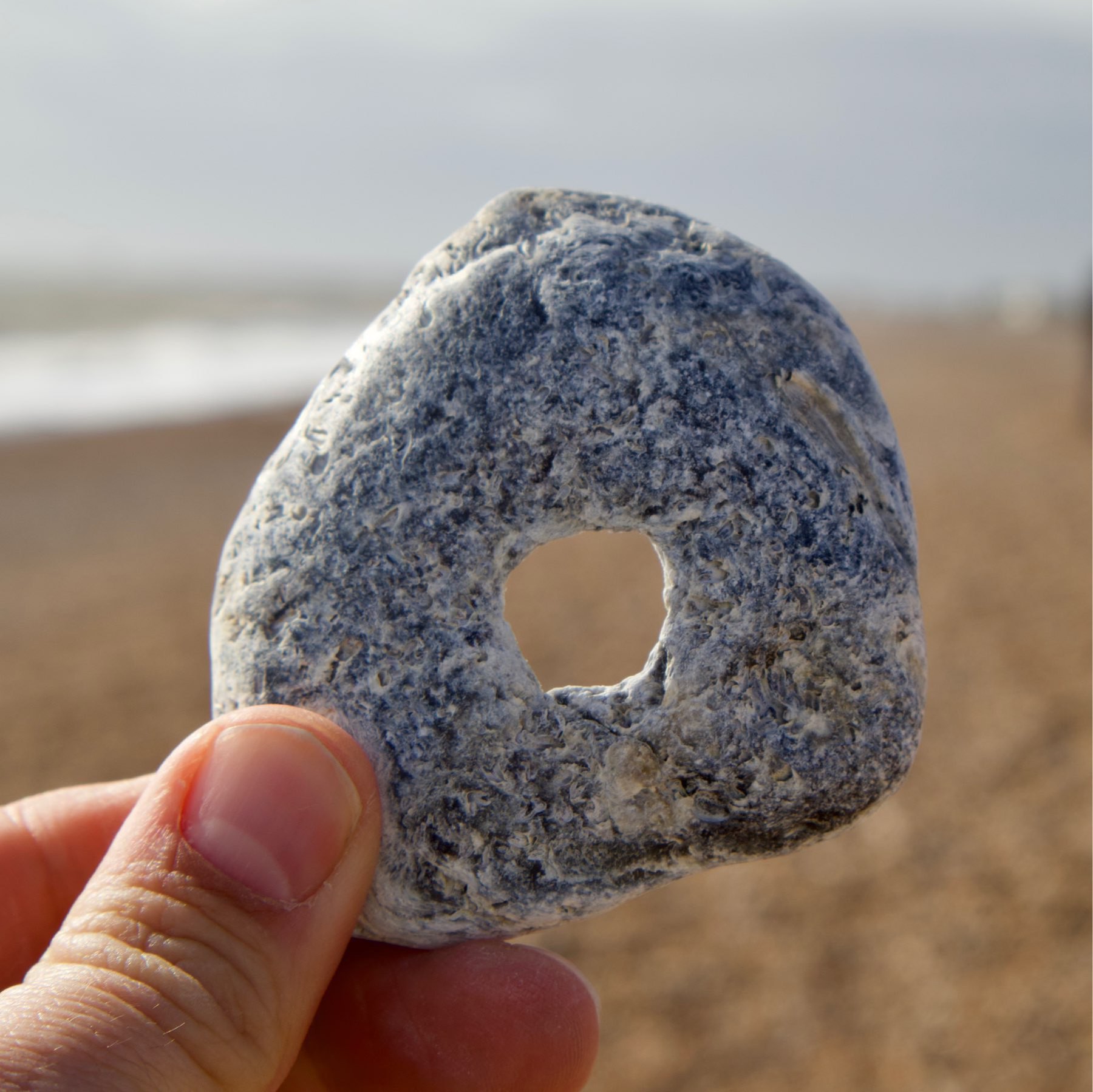 Another hagstone found on Shoreham Beach
