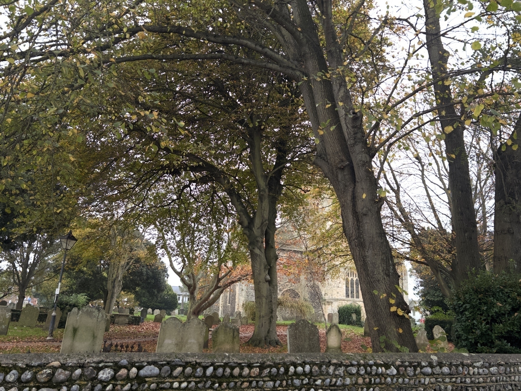 IA church and several tombstones are surrounded by trees and a stone wall.