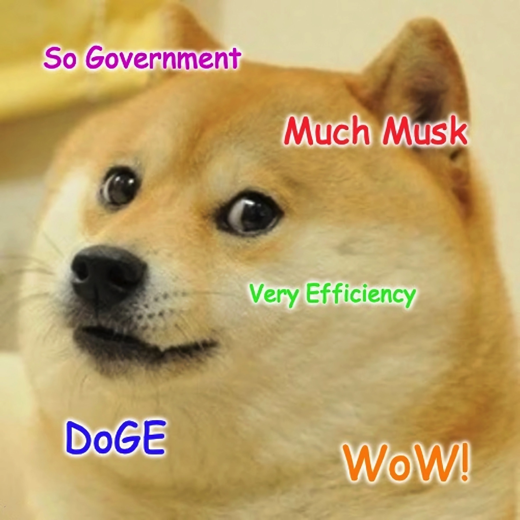 A doge meme about Musk creating the Depertment of Government Efficiency. 