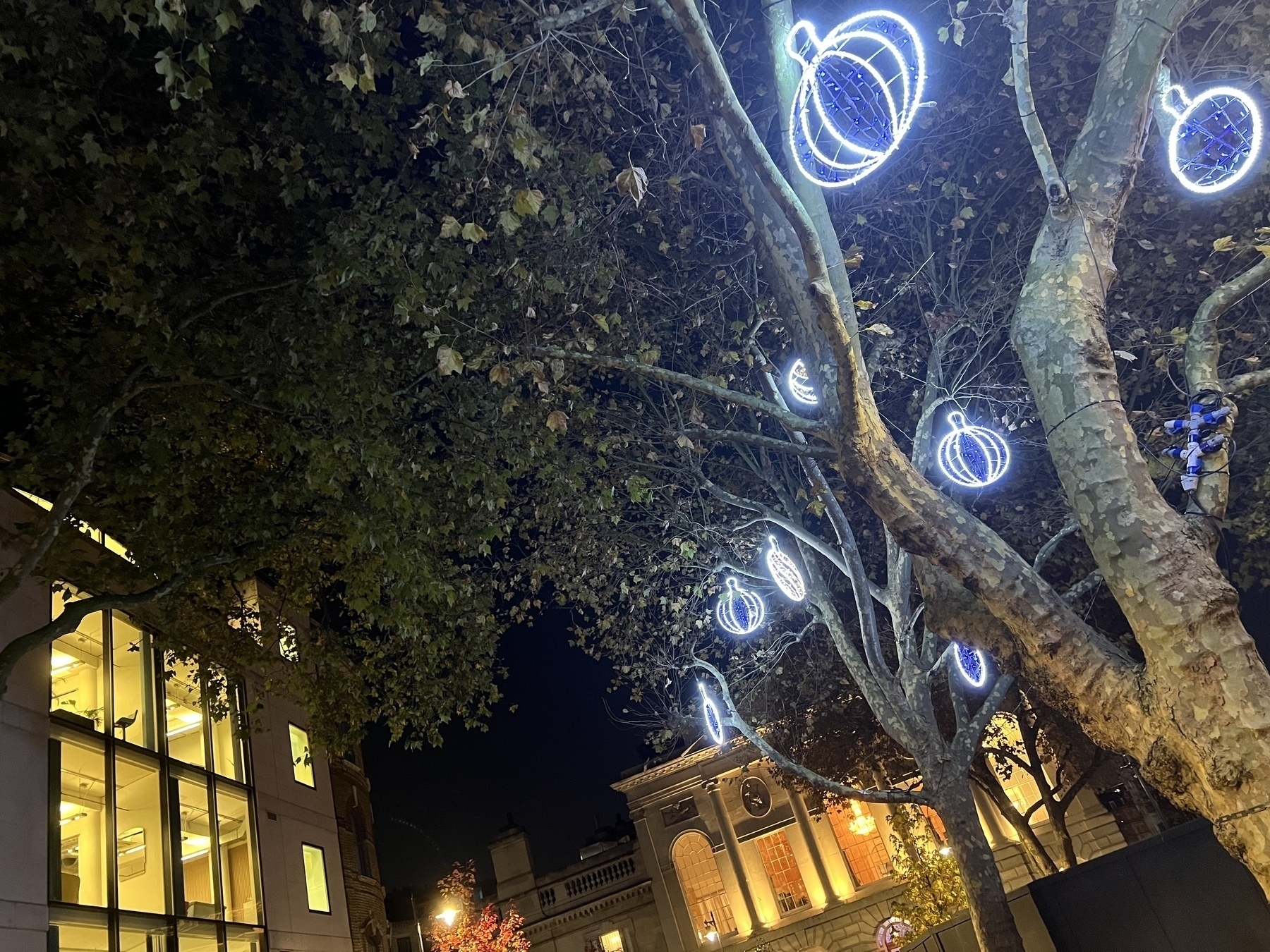 Decorative lights shaped like ornaments are hanging from trees, with illuminated buildings in the background at night.