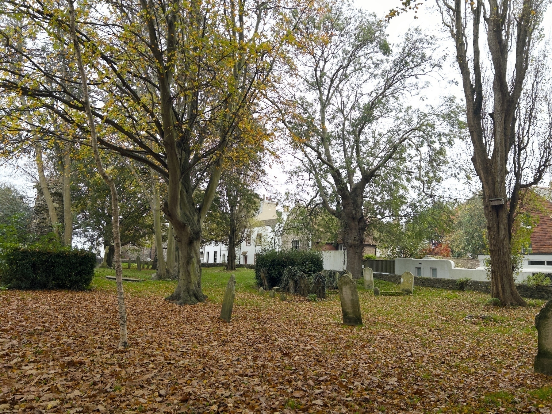 A graveyard is surrounded by tall trees with autumn leaves covering the ground and a white house in the background.