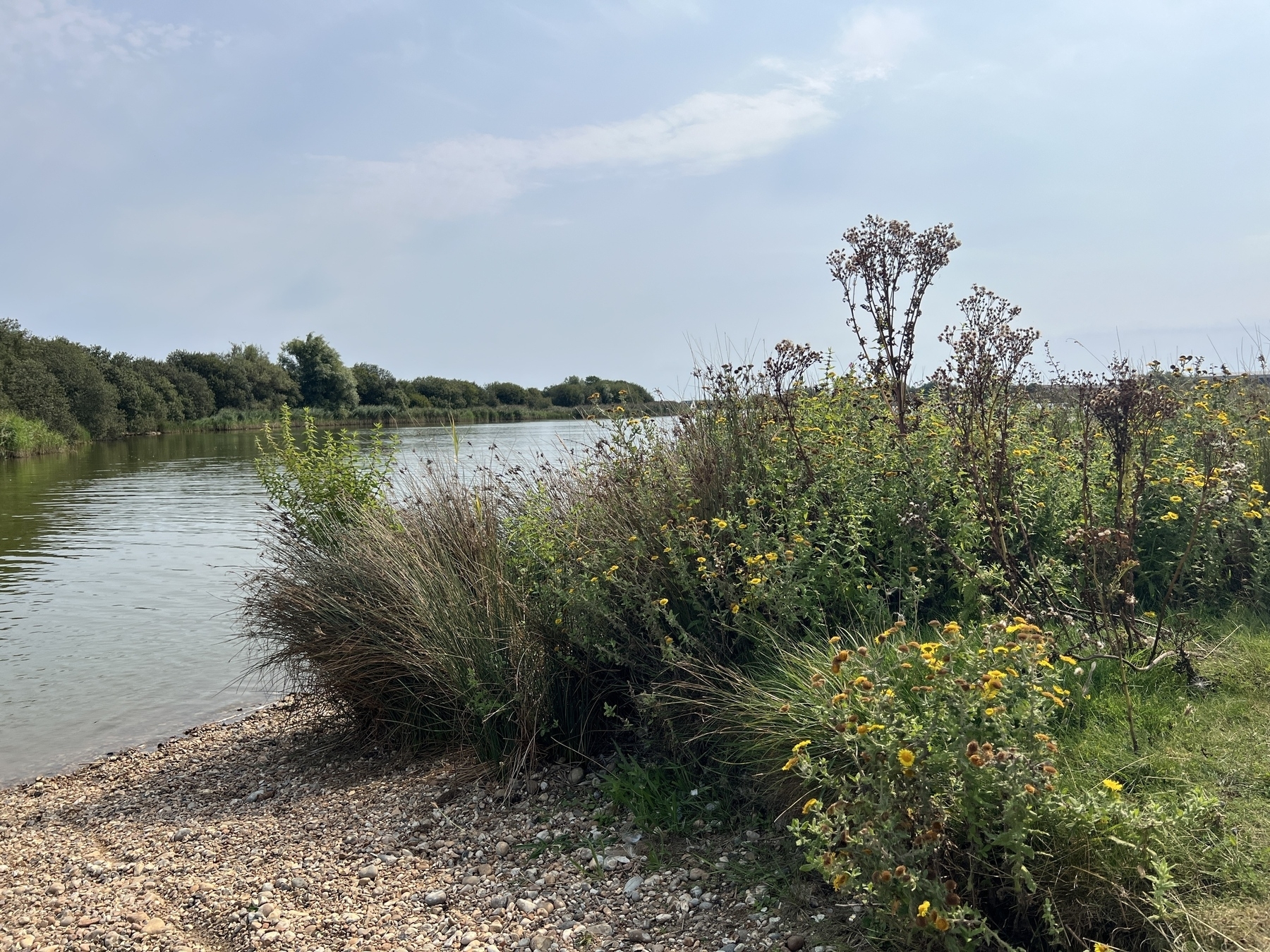 A serene lakeside scene features lush vegetation and a pebbled shore under a partly cloudy sky.
