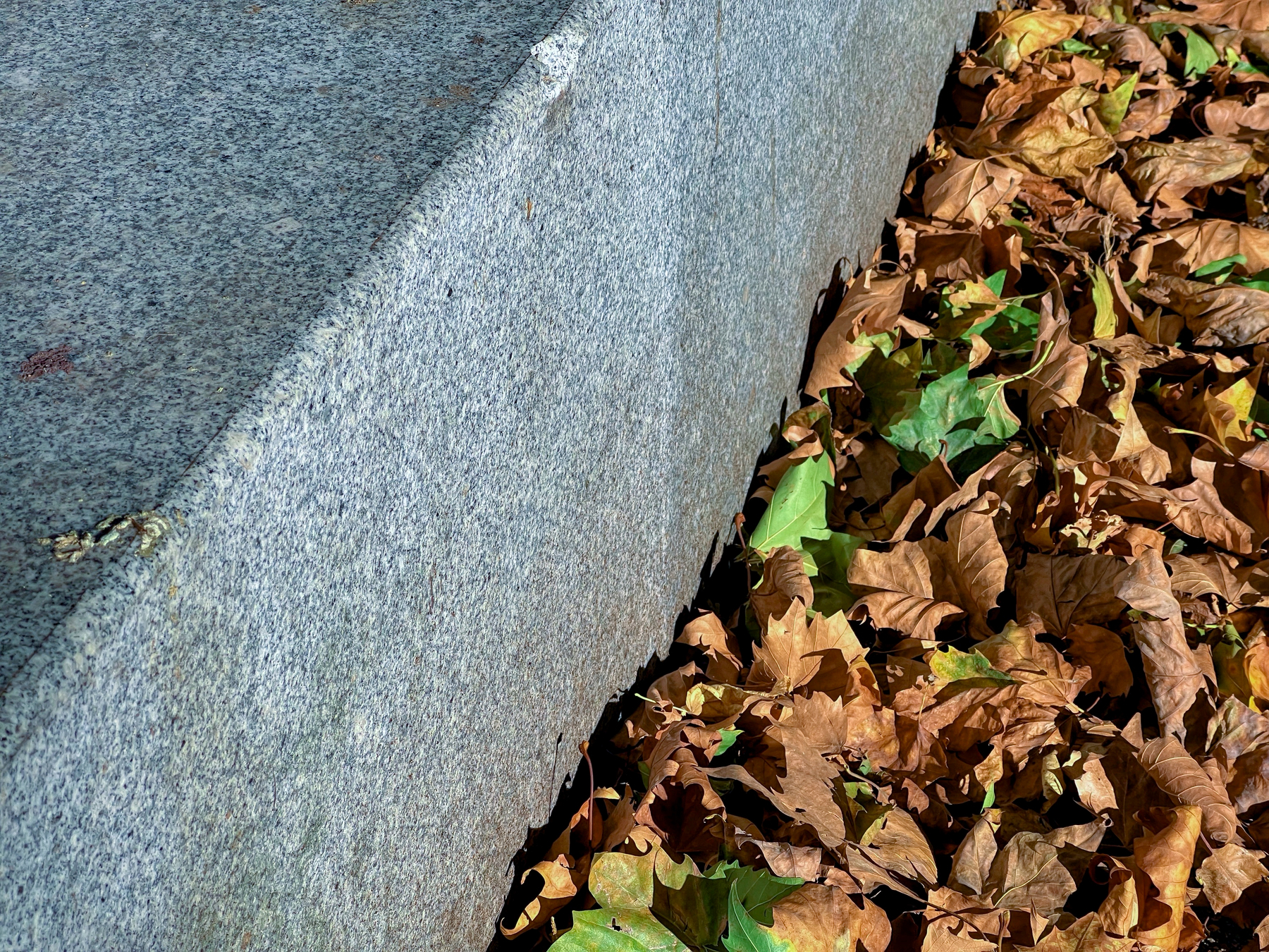 A pile of dried brown and green leaves is accumulated next to a stone or concrete step.