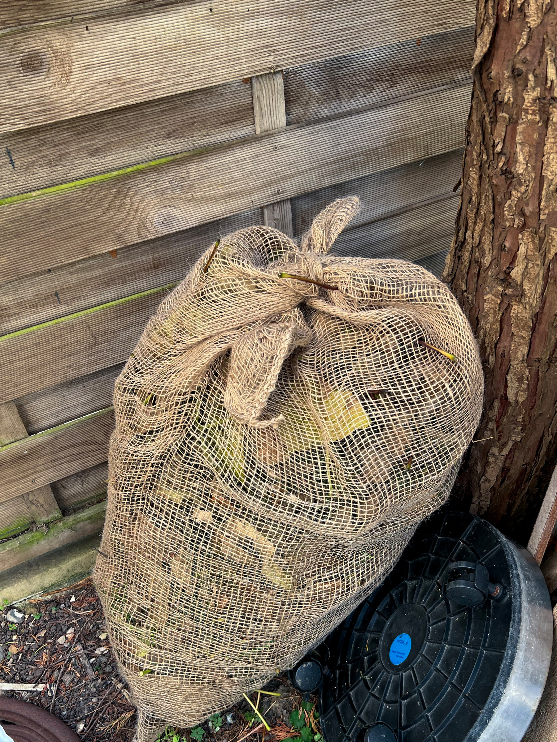 A large mesh bag filled with leaves is placed next to a wooden fence and a tree trunk.