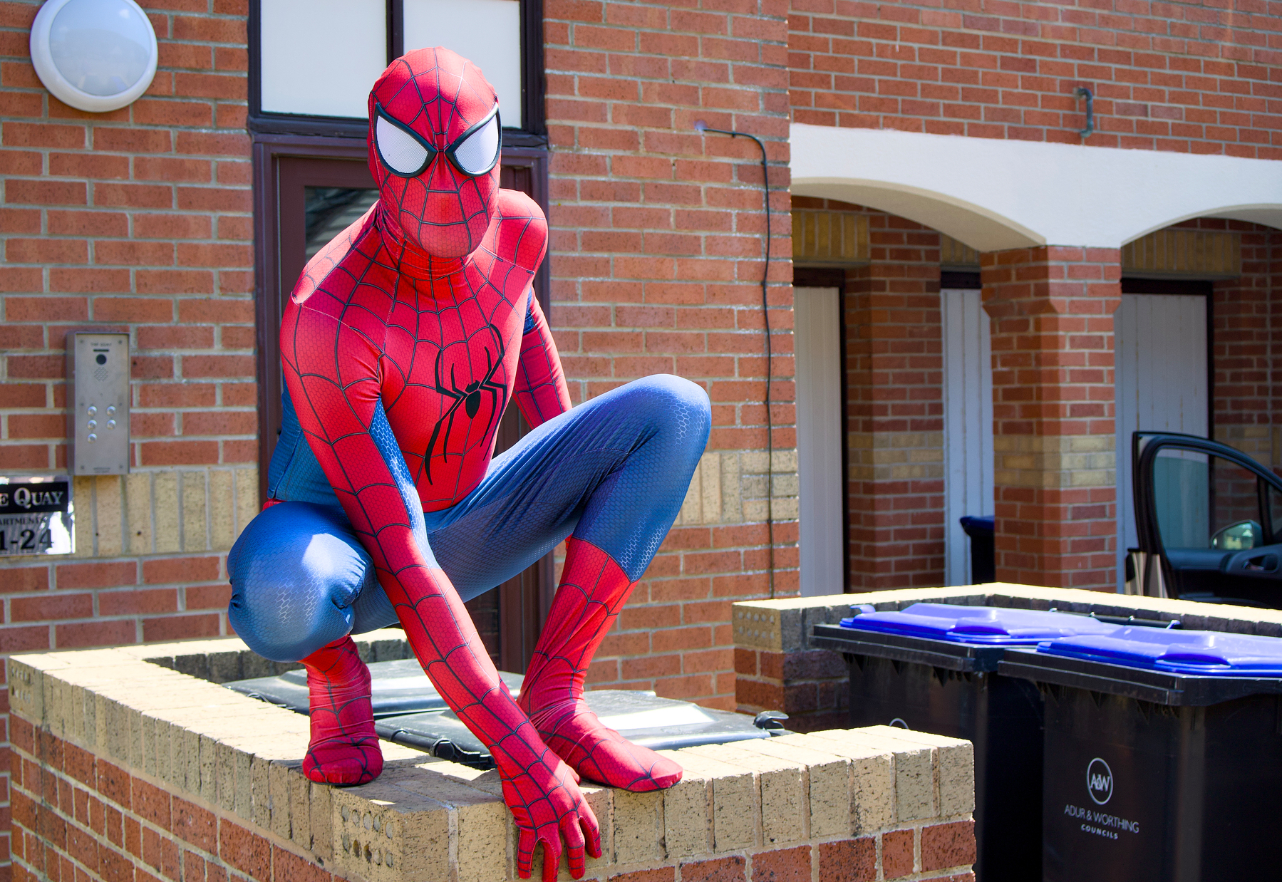 A person dressed as Spider-Man crouches on a brick wall next to recycling bins in a residential area.