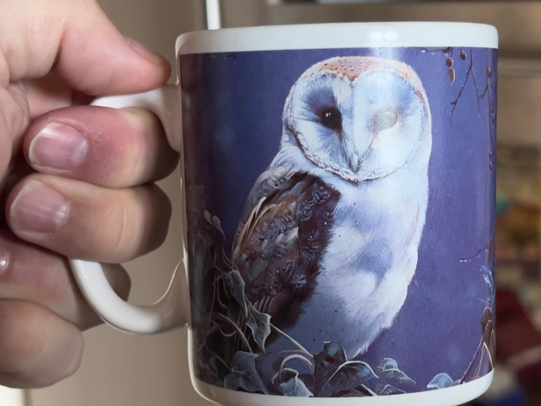 A person is holding a mug featuring an owl illustration on a blue background.