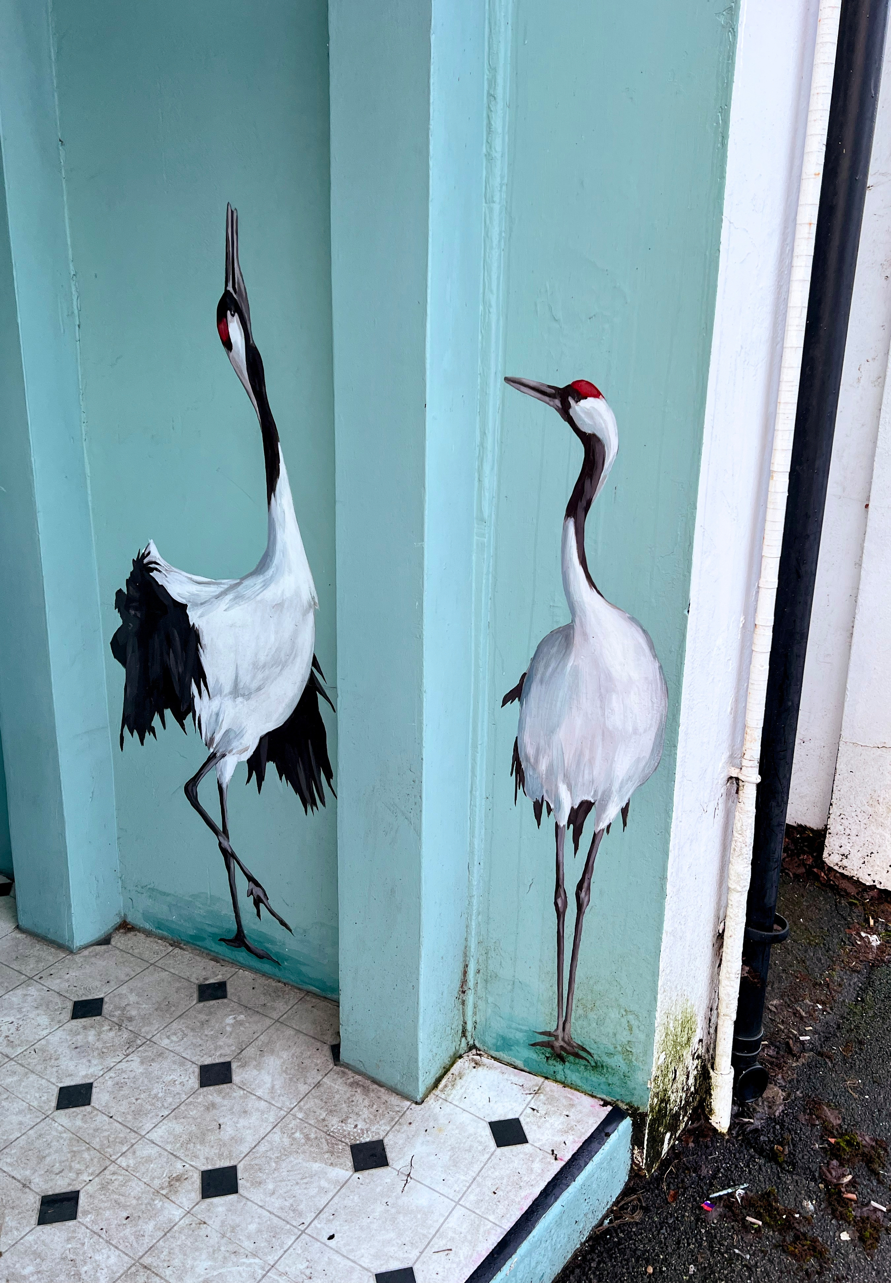 Two painted cranes are depicted on turquoise walls with a tiled floor below.