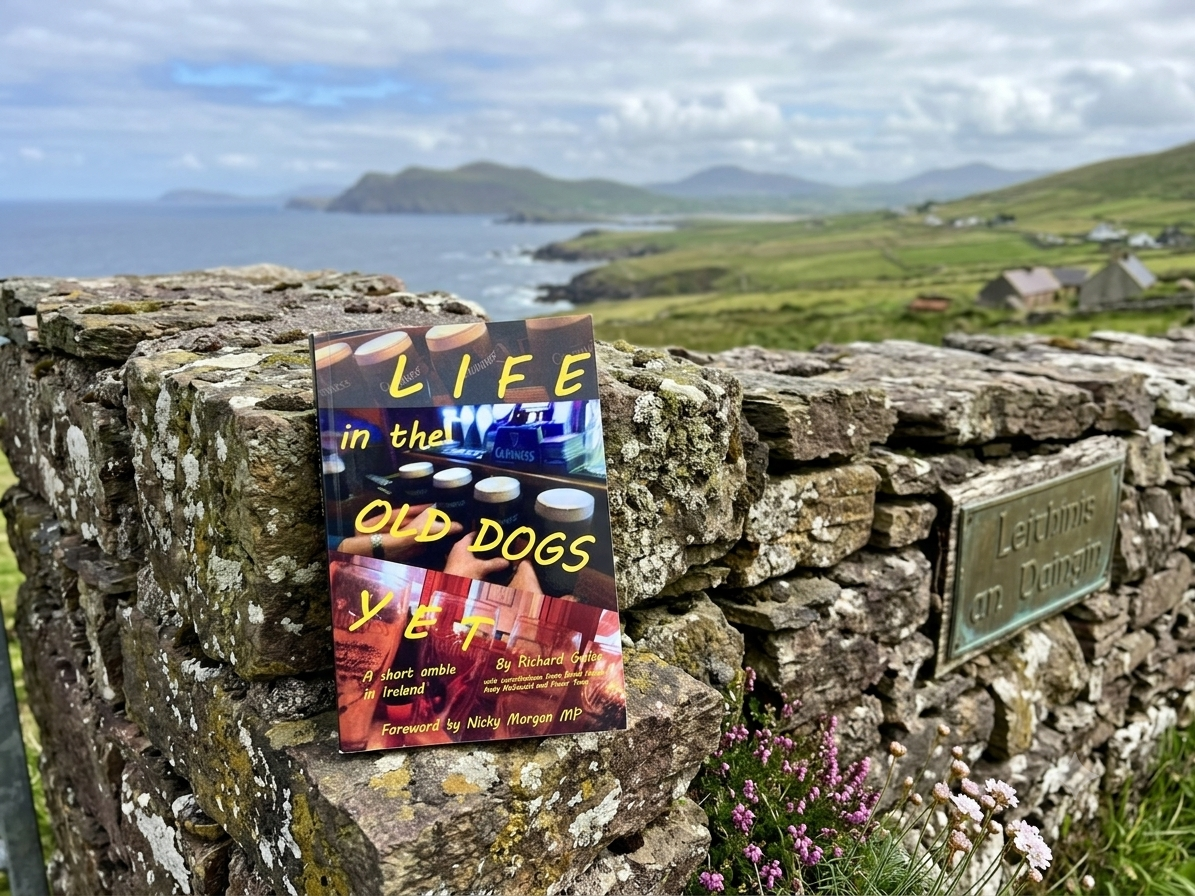 A book titled Life in the Old Dogs Yet is resting on a stone wall overlooking a scenic rural landscape with rolling green hills and distant mountains near the sea.
