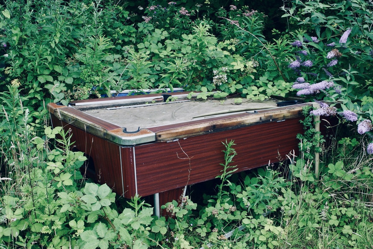Pool table in undergrowth