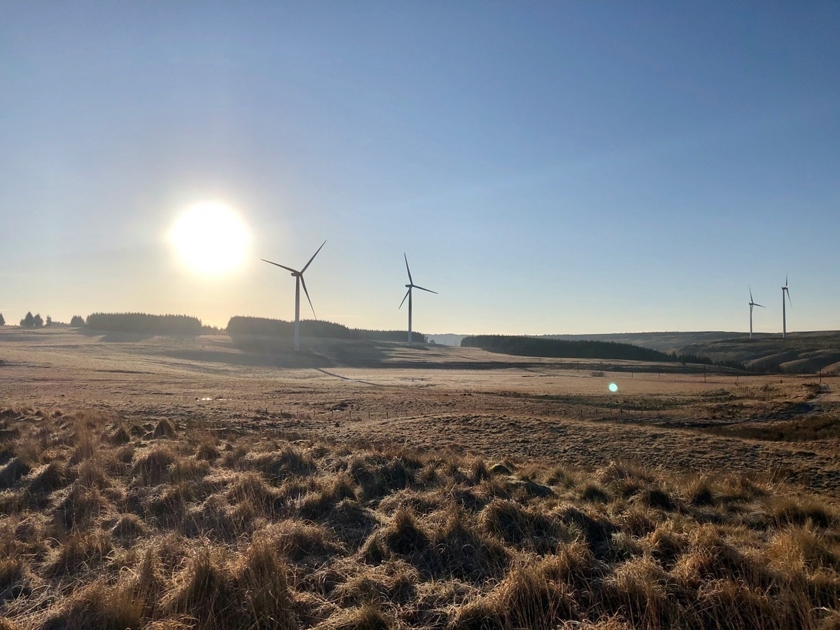 Wind turbines and the sun