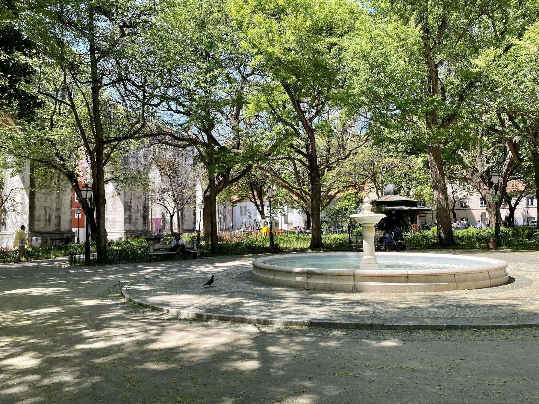 Circular fountain surrounded by trees in a city square