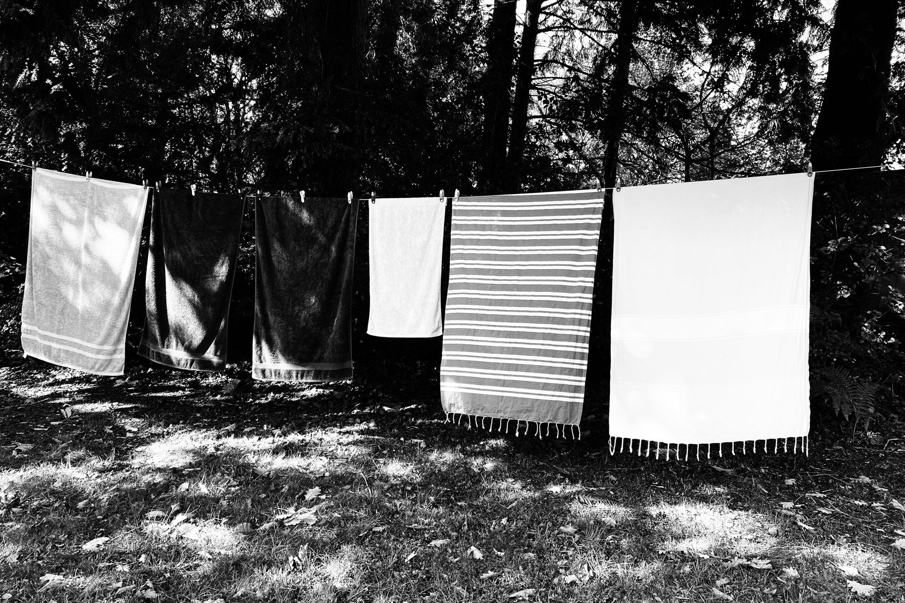Black and white picture of dark, light and striped towels hanging on a washing line