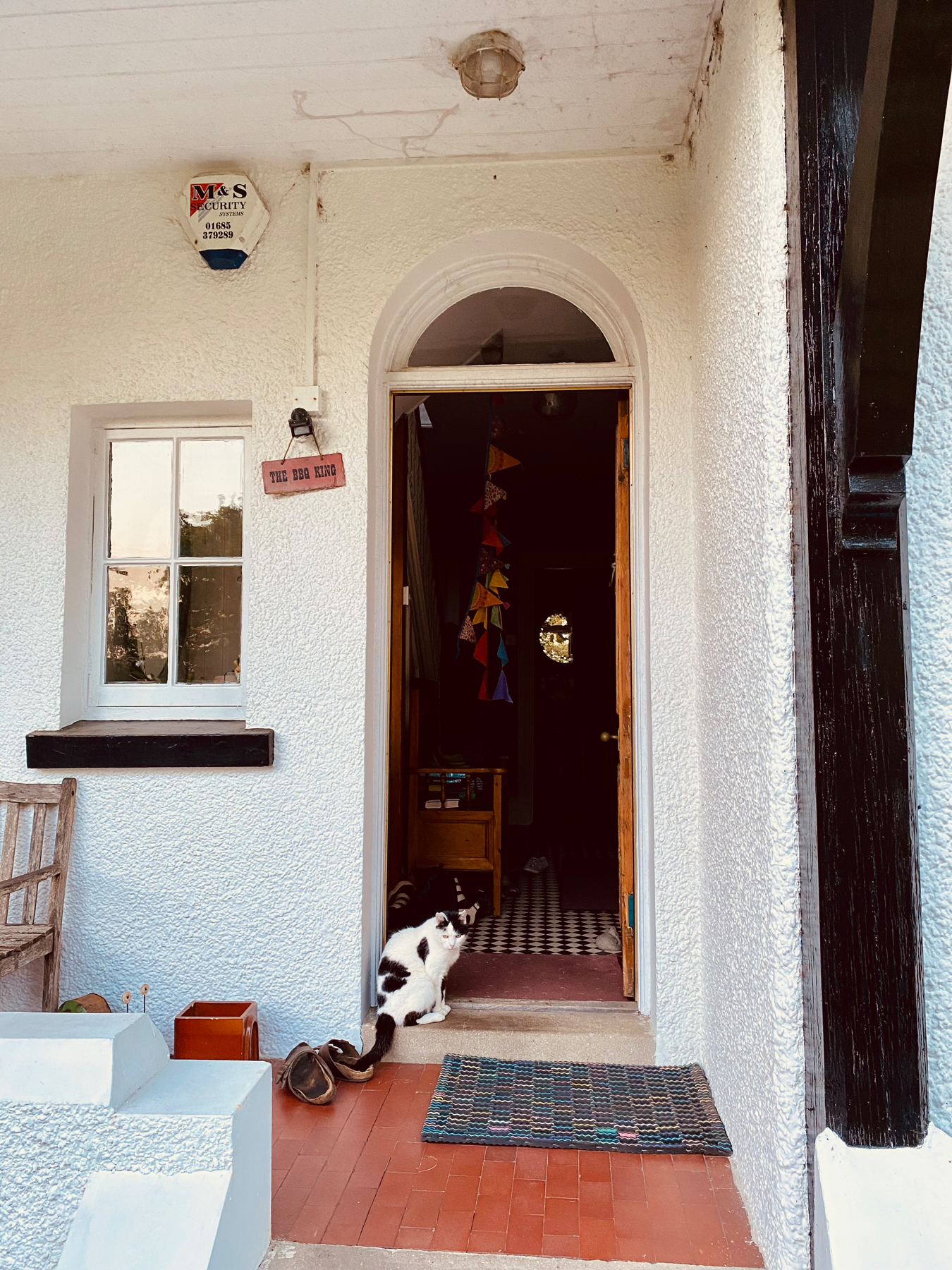 Black and white cat sitting in doorway of house