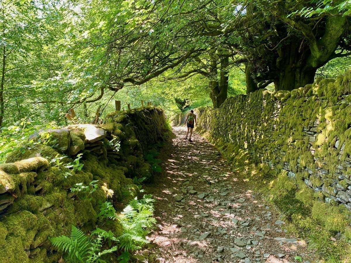 Woman in distance walking on narrow lane bounded by mossy stone walls shaded by overhanging branches