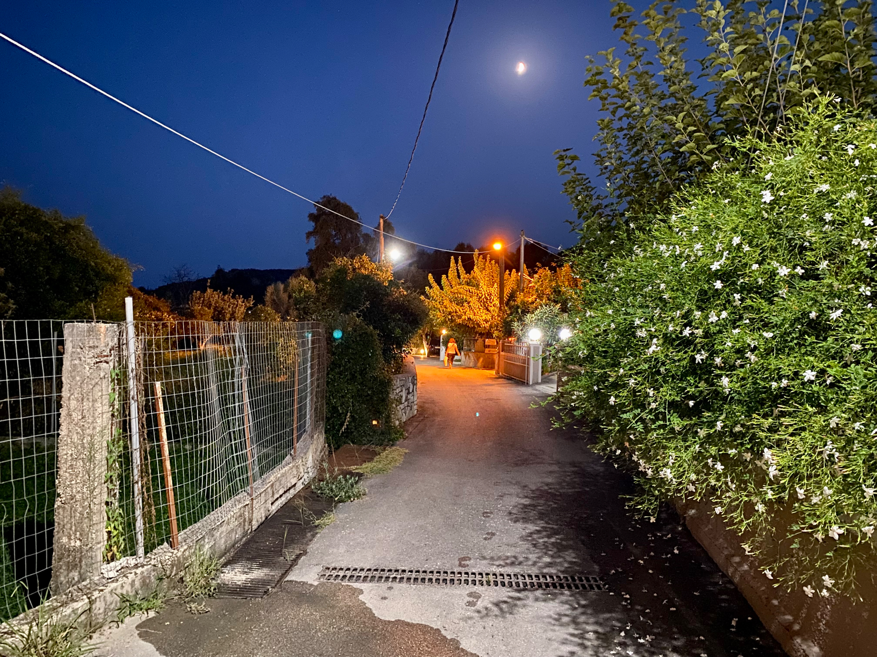 Narrow road bordered on the left by a wire fence and the right by a flowering hedge. Taken just after dusk so there is illumination from street lights and the moon is visible in a dark sky. Gateway, stone wall and woman walking with shopping bag in the distance