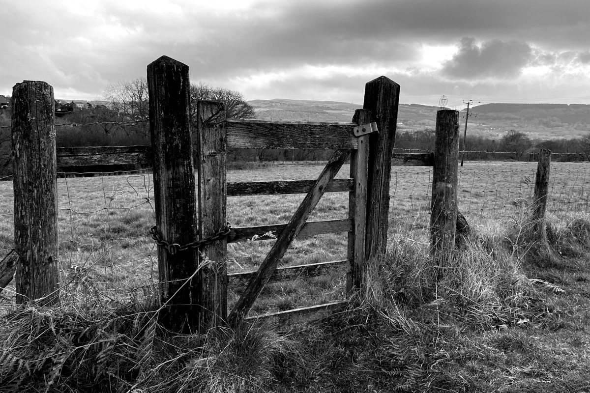 Monochrome image of a chained wooden gate leading to a field