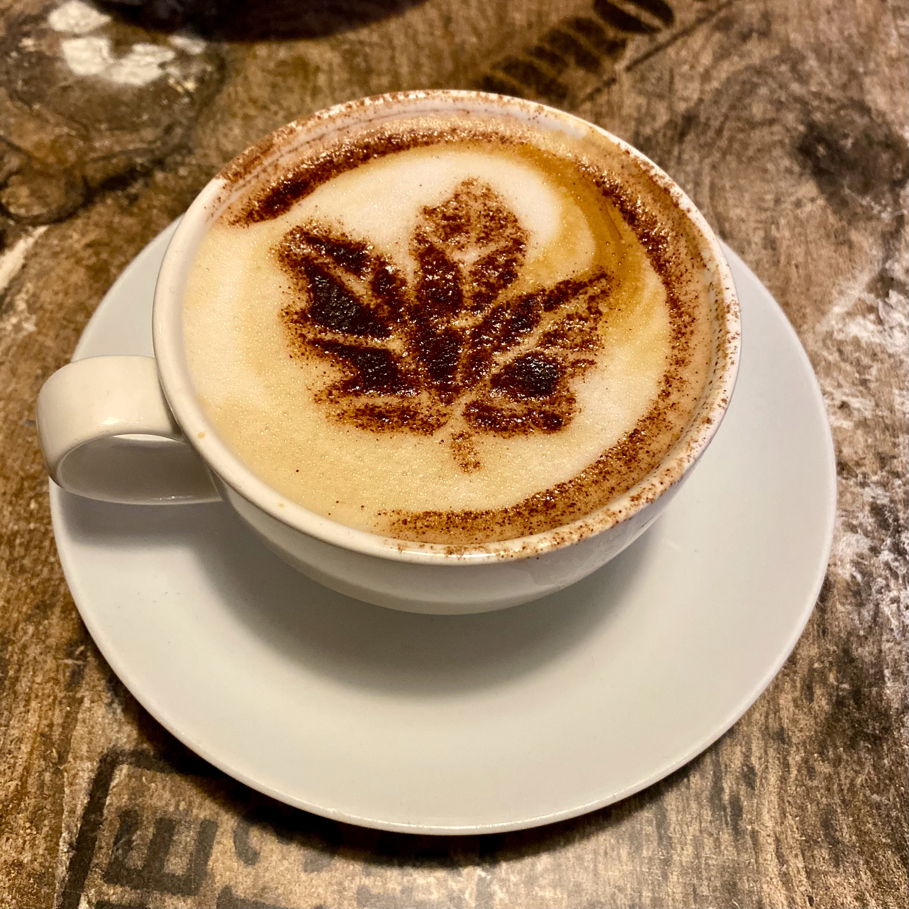 Large cup of cappuccino with chocolate powder leaf pattern dusted on the surface of the foam