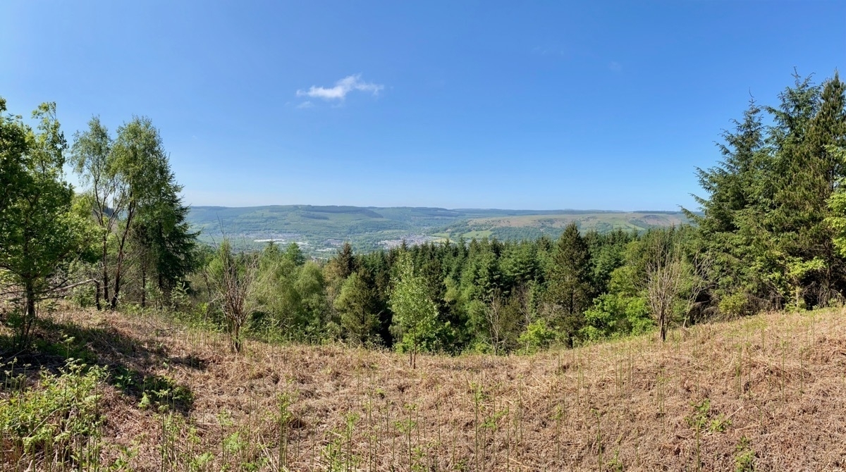 Panoramic view across wooded valley, blue skies above