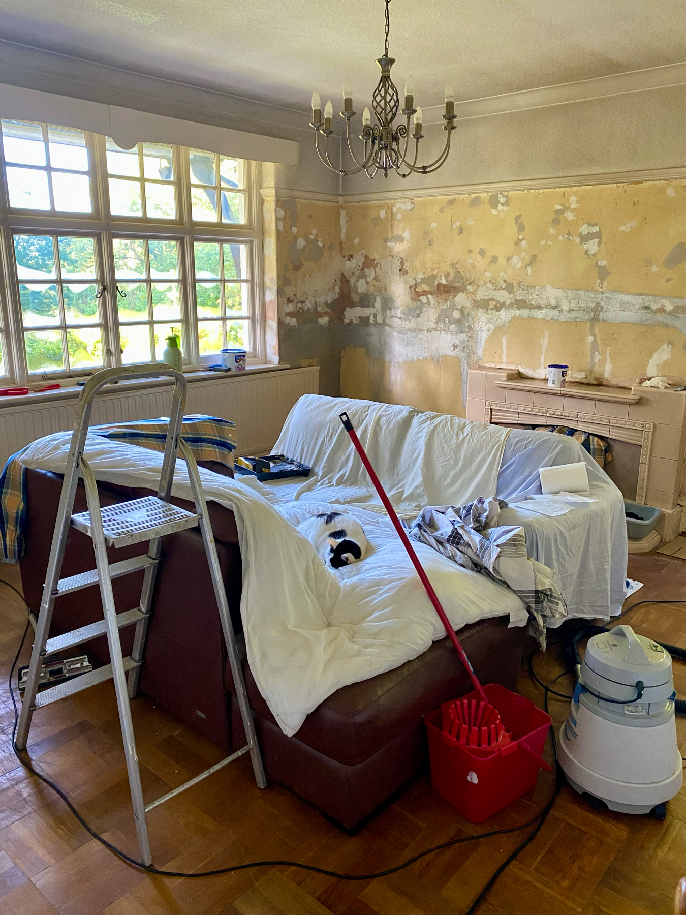 A partially renovated room showing exposed plaster on walls, a chandelier, and a large window with light streaming in. A stepladder, mop, and bucket are present, indicating ongoing work. A white duvet covers a sofa. A cat is sleeping on the duvet.