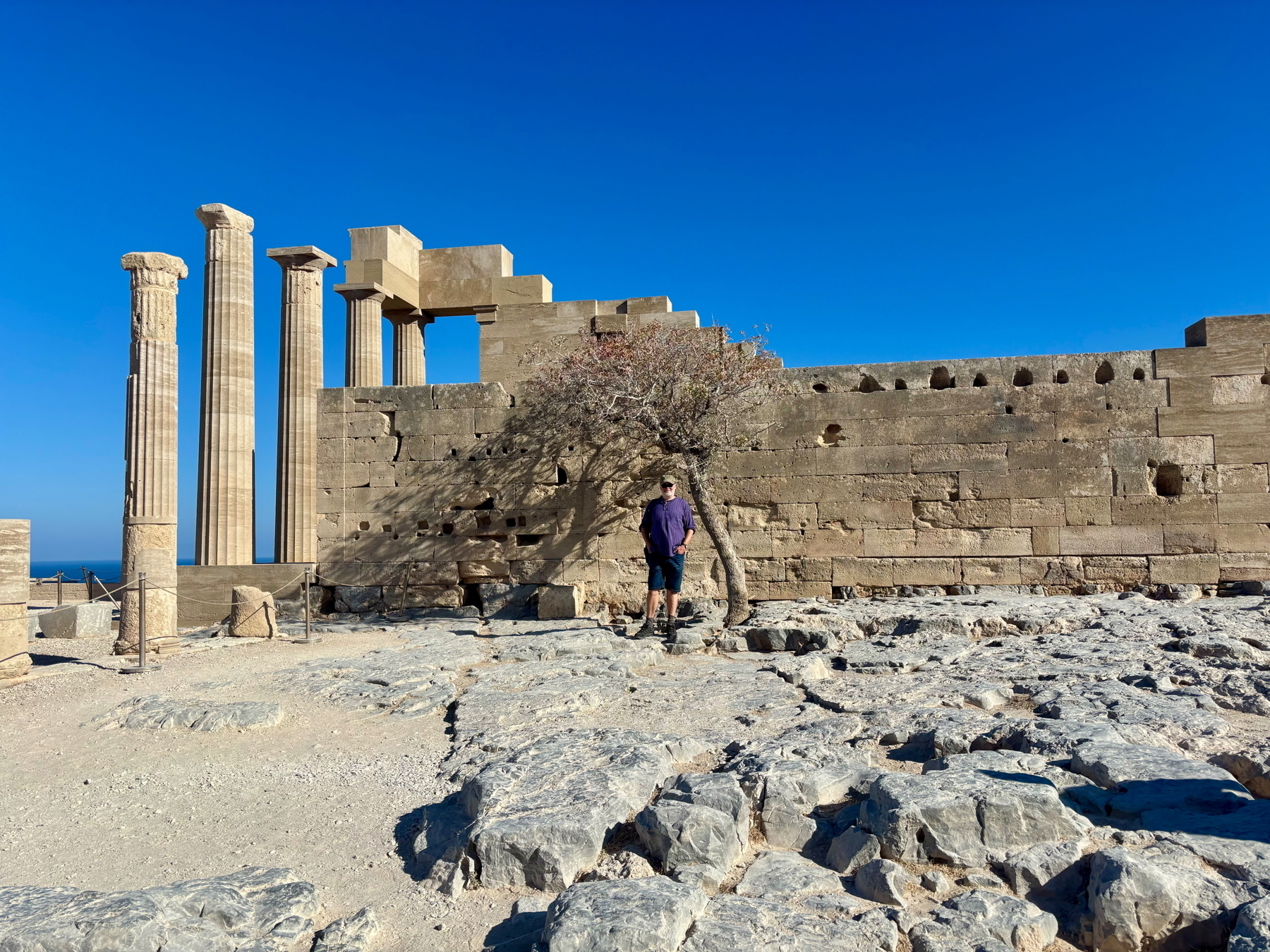 Ancient ruins with tall stone columns and a partially standing wall under a clear blue sky. A person stands next to a small tree amidst rocky terrain.