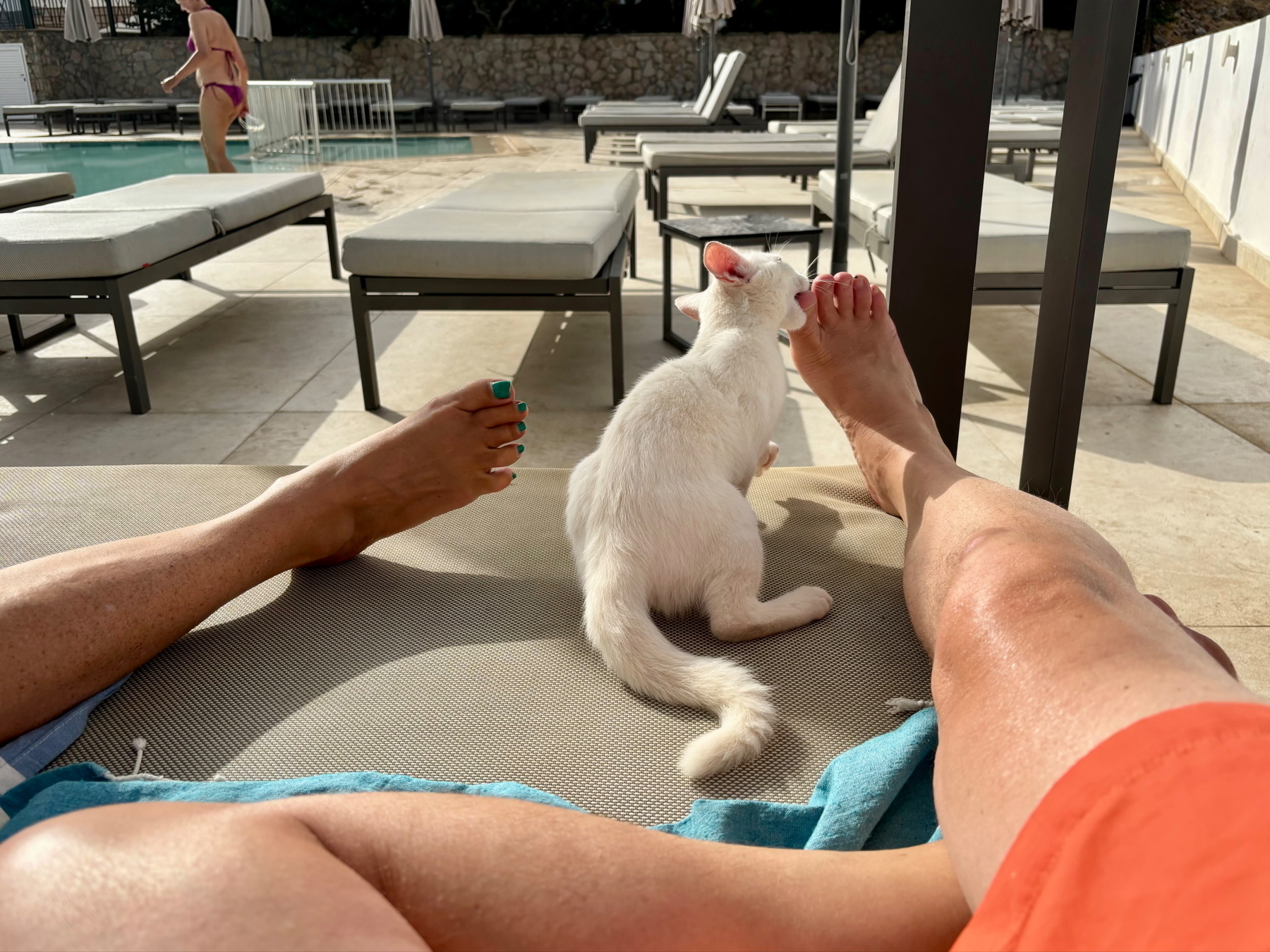 A white cat is sitting on a poolside lounge chair, nibbling on someone's toes. Two pairs of legs are visible, with one person wearing orange shorts. Another person is walking in the background near the pool. Lounge chairs are arranged around the pool.