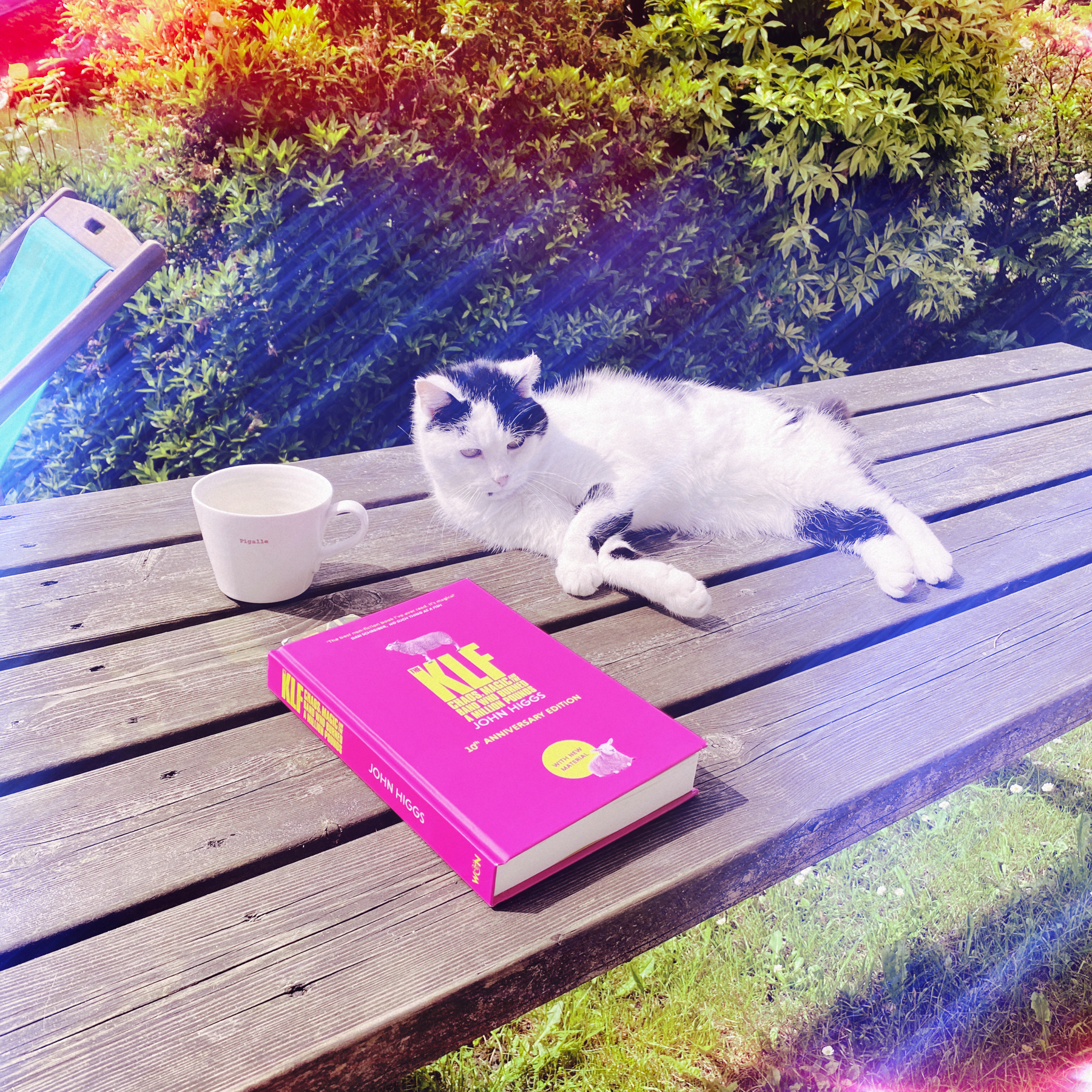 A black-and-white cat is lounging on a wooden picnic table in a garden. Next to the cat is a white mug and a pink book titled The KLF by John Higgs. The surroundings include lush, green bushes.