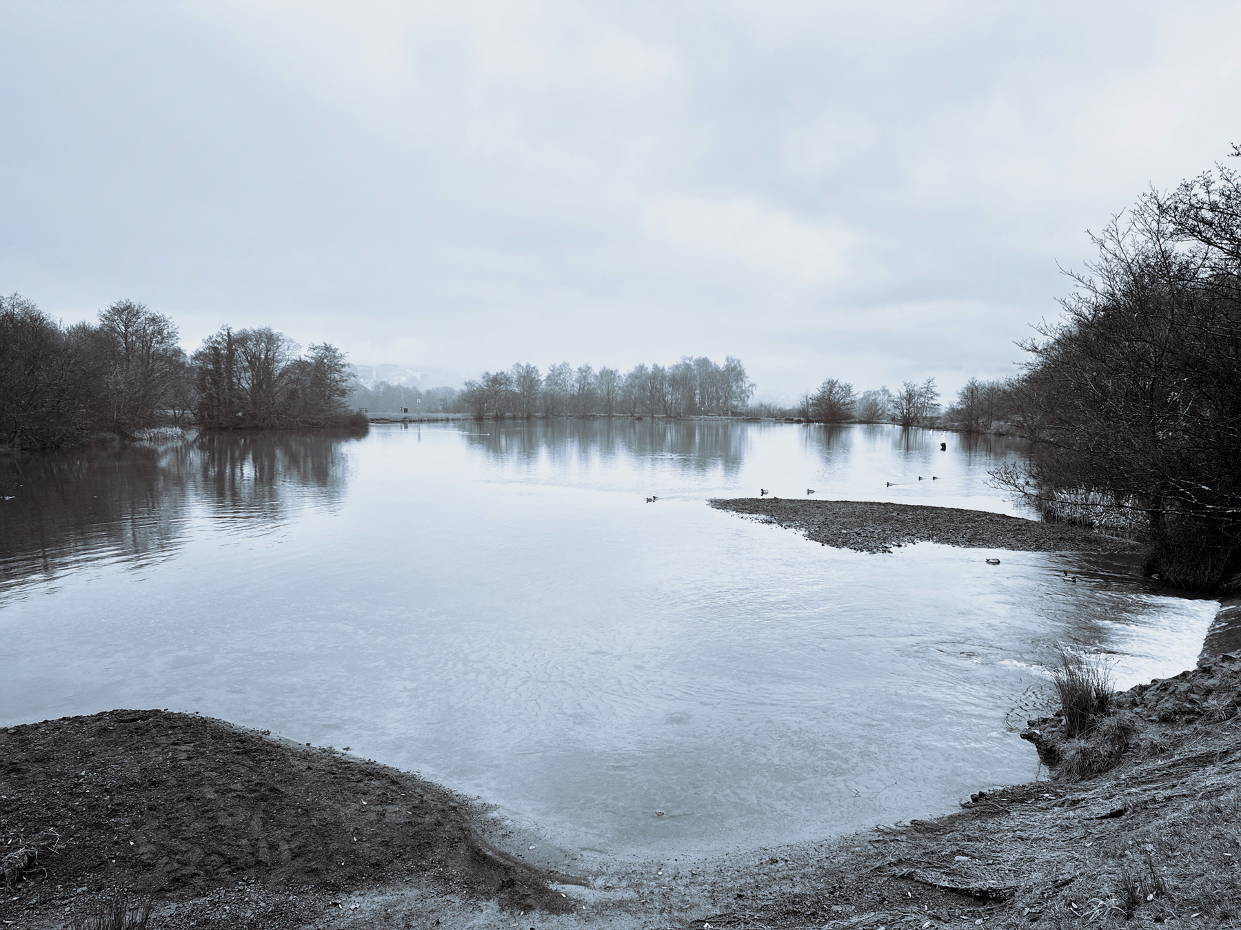 A serene lake landscape features calm water, overcast skies, and trees lining the shore.