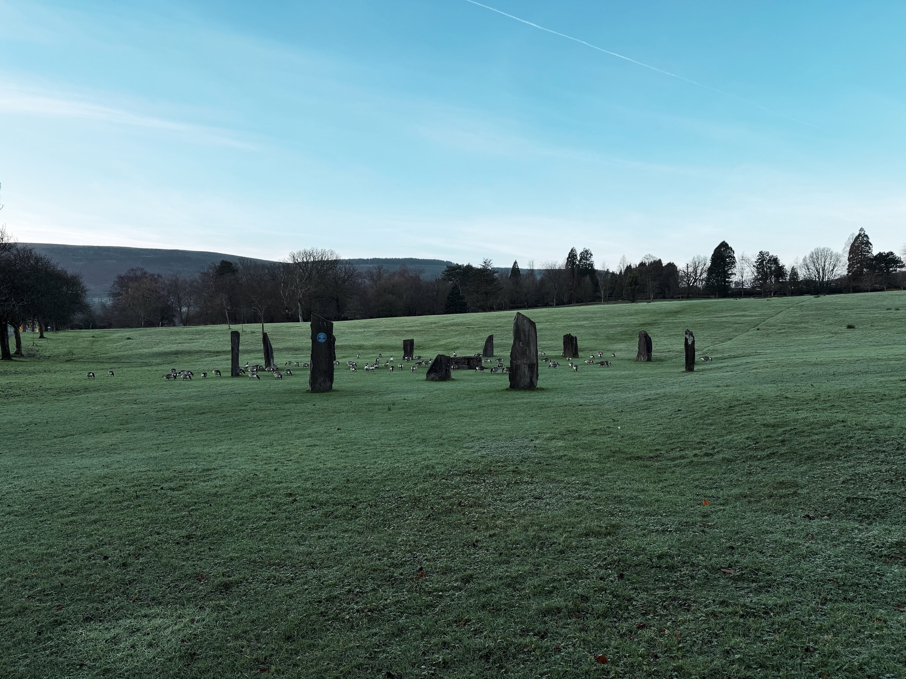 A grassy field containing a stone circle with standing stones is set against a backdrop of hills and trees. A flock of geese has is on the ground amongst the stones.