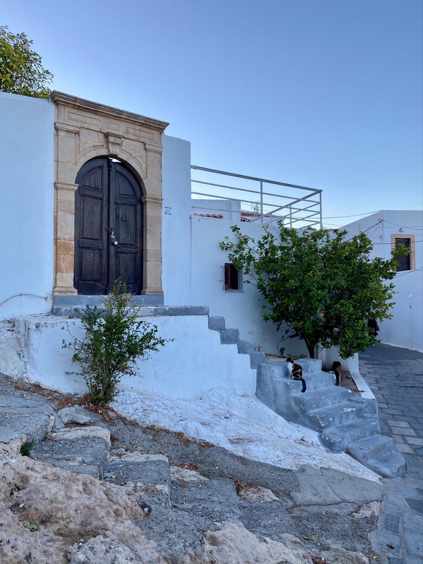 A rustic stone entrance with a wooden door, surrounded by white plastered walls. Stone steps lead up to the doorway. A cat is sitting on the steps looking up at the doorway.