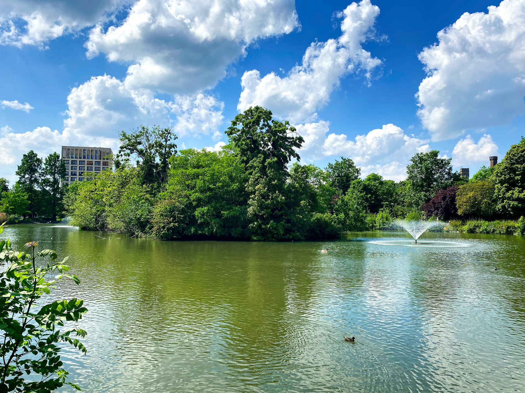 A scenic pond surrounded by lush green trees and vegetation under a partly cloudy sky. A building is visible in the background. A water fountain in the pond creates a gentle spray. Waterfowl are swimming on the water's surface.
