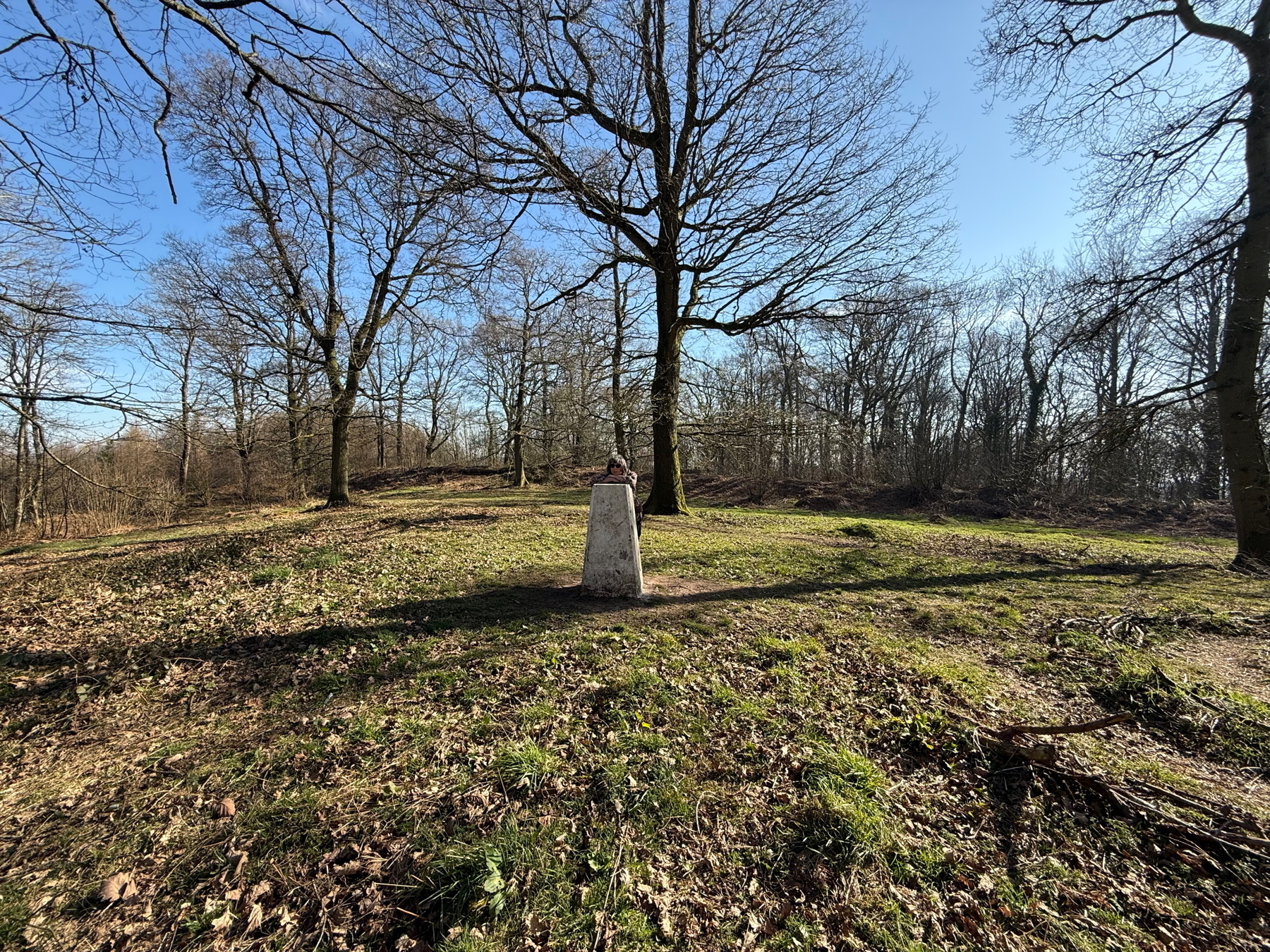 Auto-generated description: A trig point stands in a wooded clearing with bare trees under a clear blue sky.