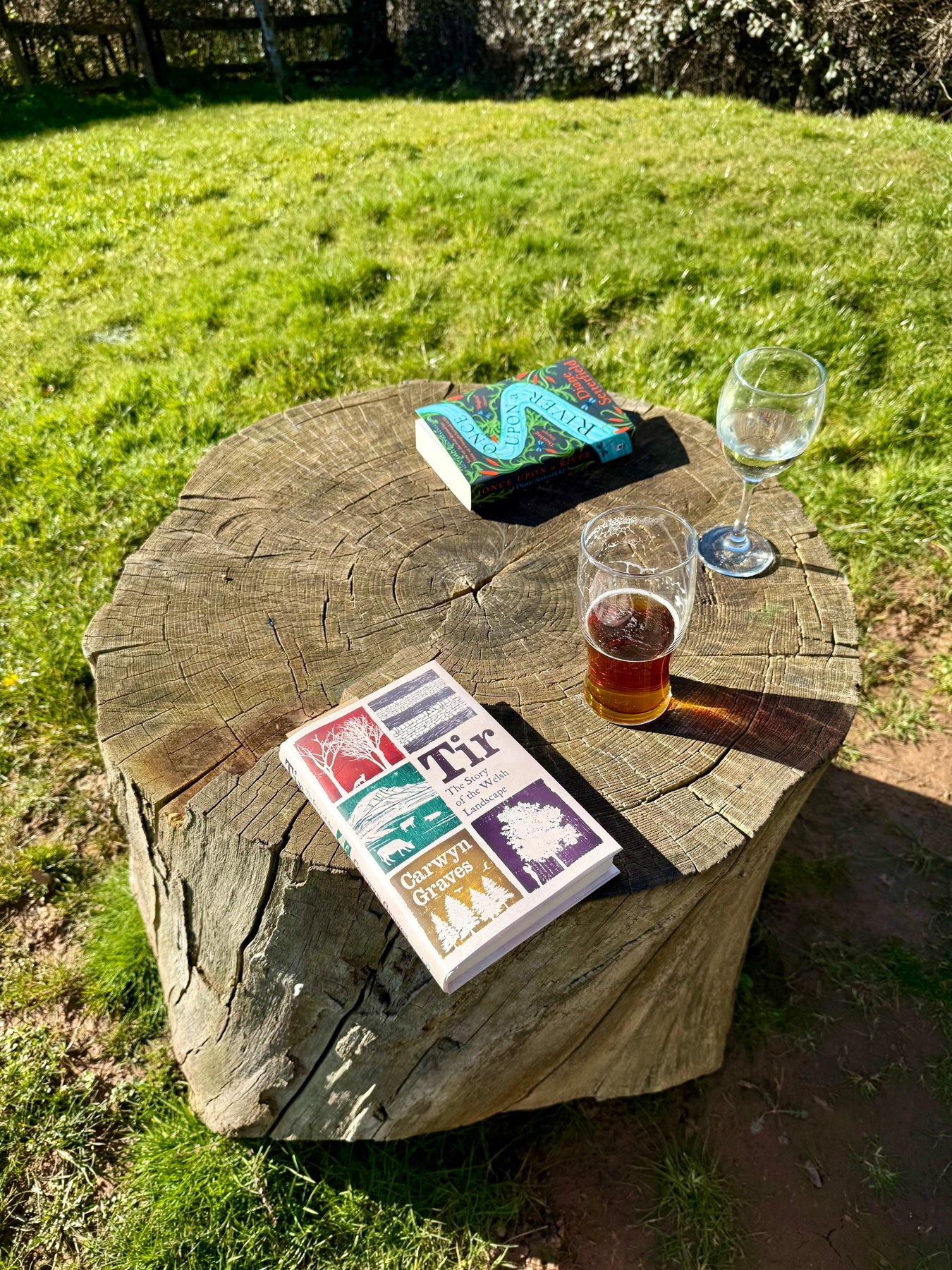 Auto-generated description: A wooden stump serves as a table holding two books, an empty wine glass, and a partly filled glass with a drink, all set in a grassy outdoor area.