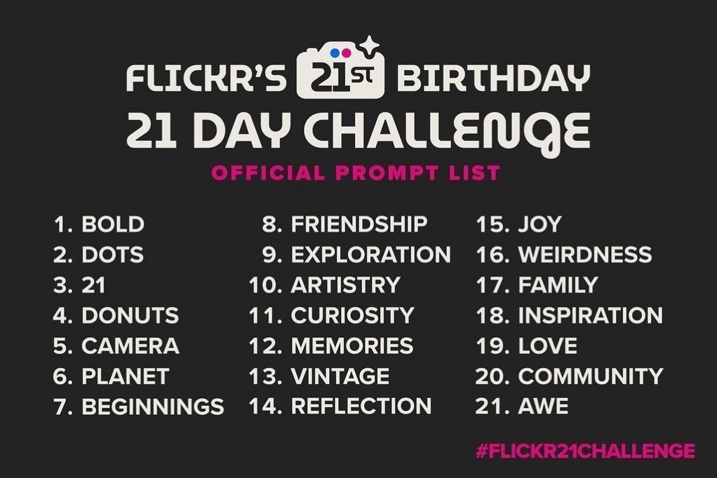 List of prompts for Flickr 21 Day Challenge