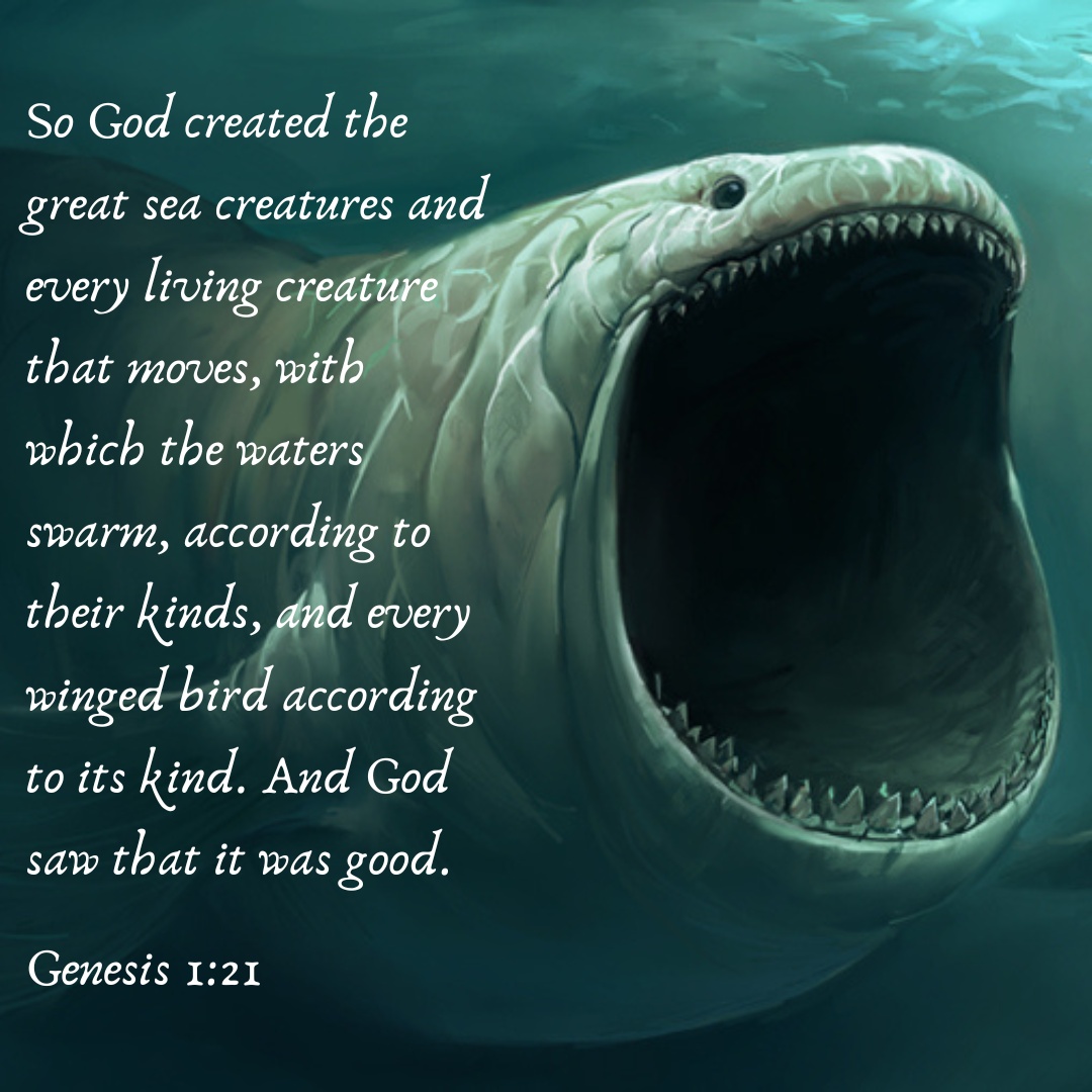 Genesis 1 21