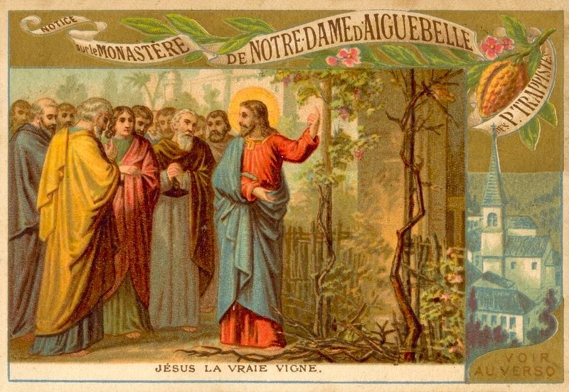 John 15_5 Unknown.jpg John 15 5 Unknown