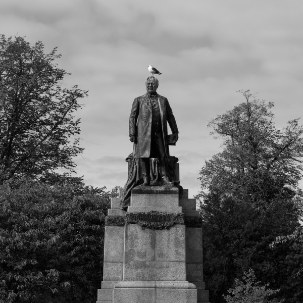 Statue of of Andrew Carnegie with bird perched on head.