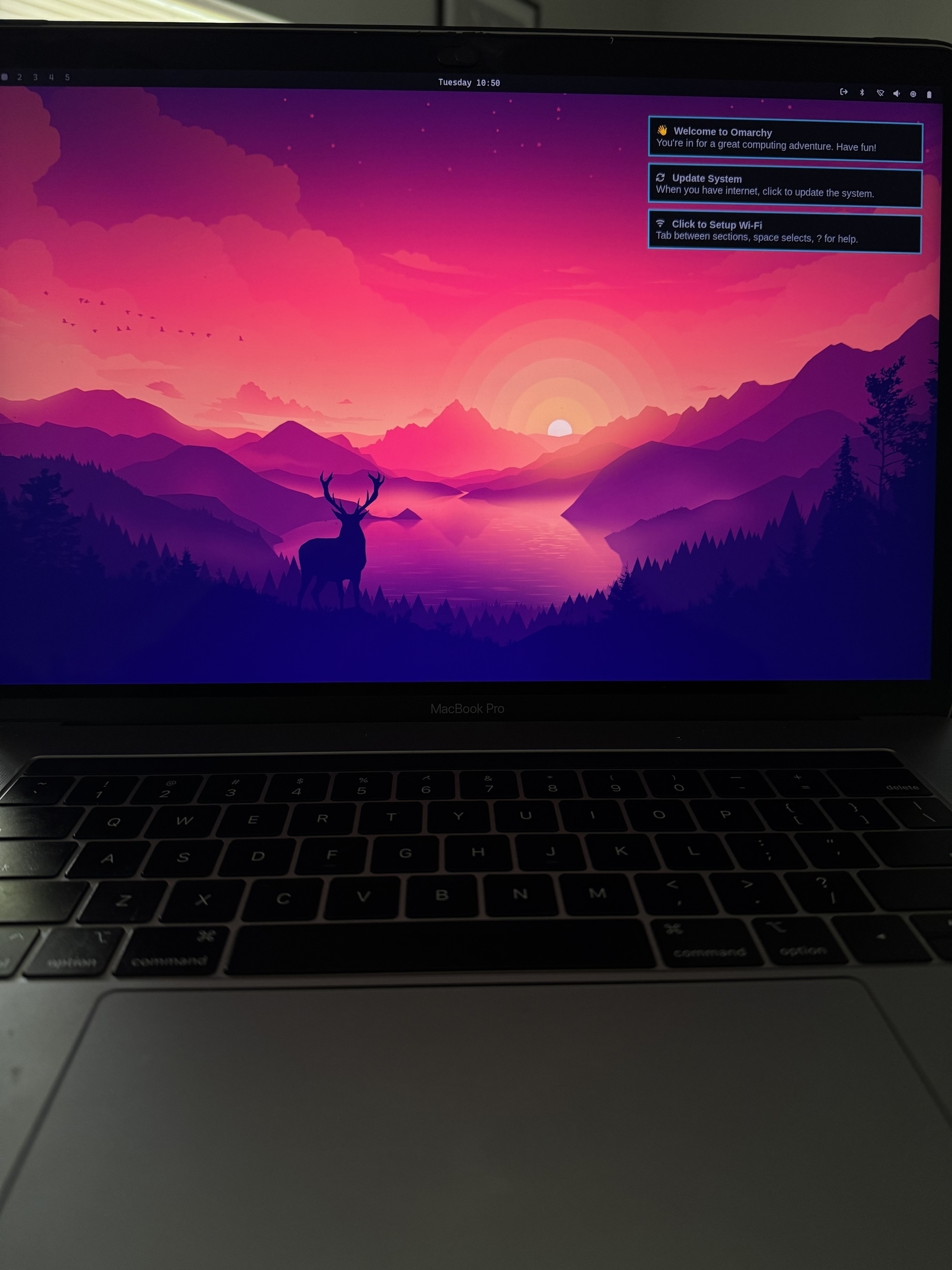 A laptop screen displays a vibrant sunset landscape with mountains and a deer, while system notification pop-ups appear in the top right corner.