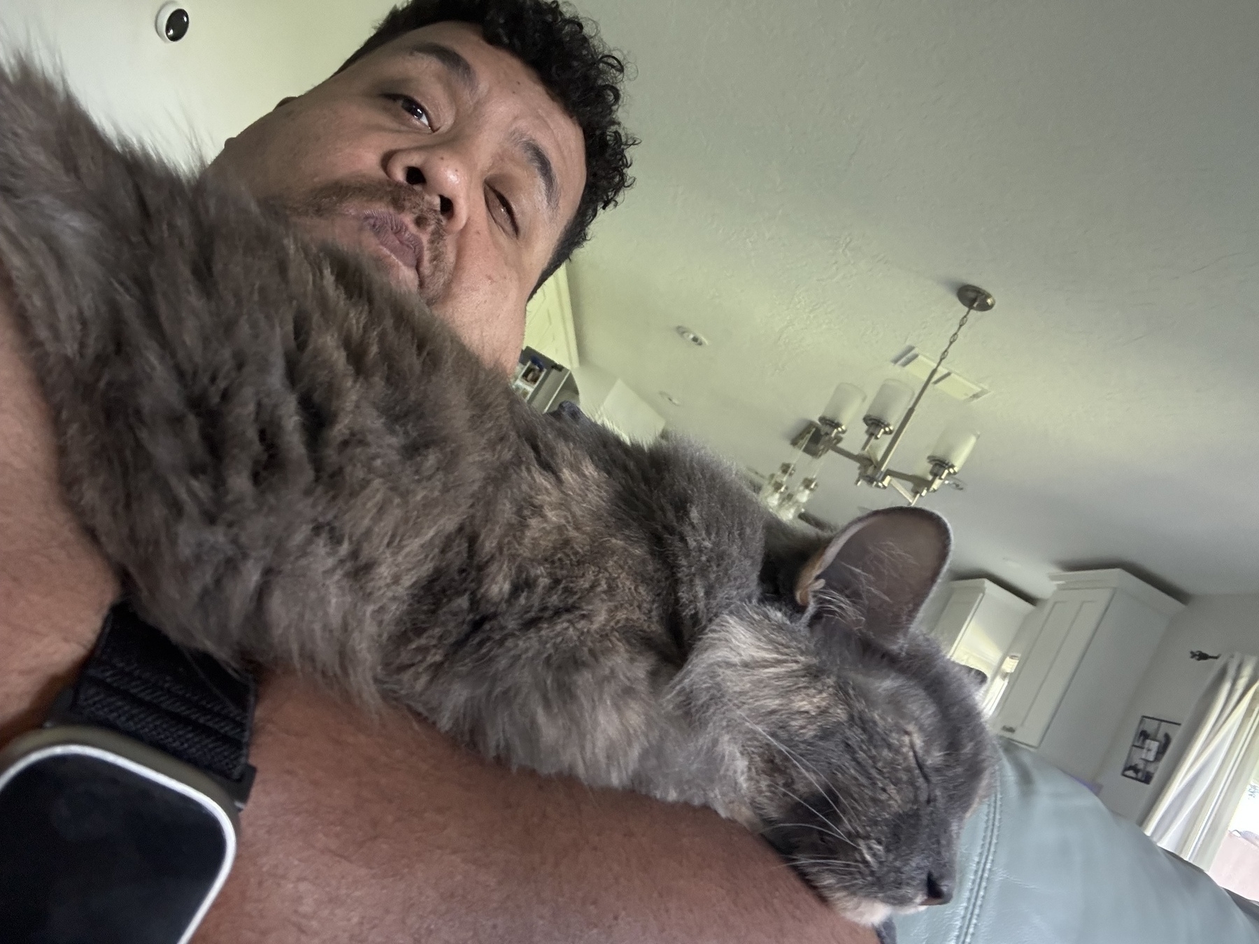 A person is holding a sleeping cat against their shoulder indoors with a visible ceiling and lighting fixtures in the background.