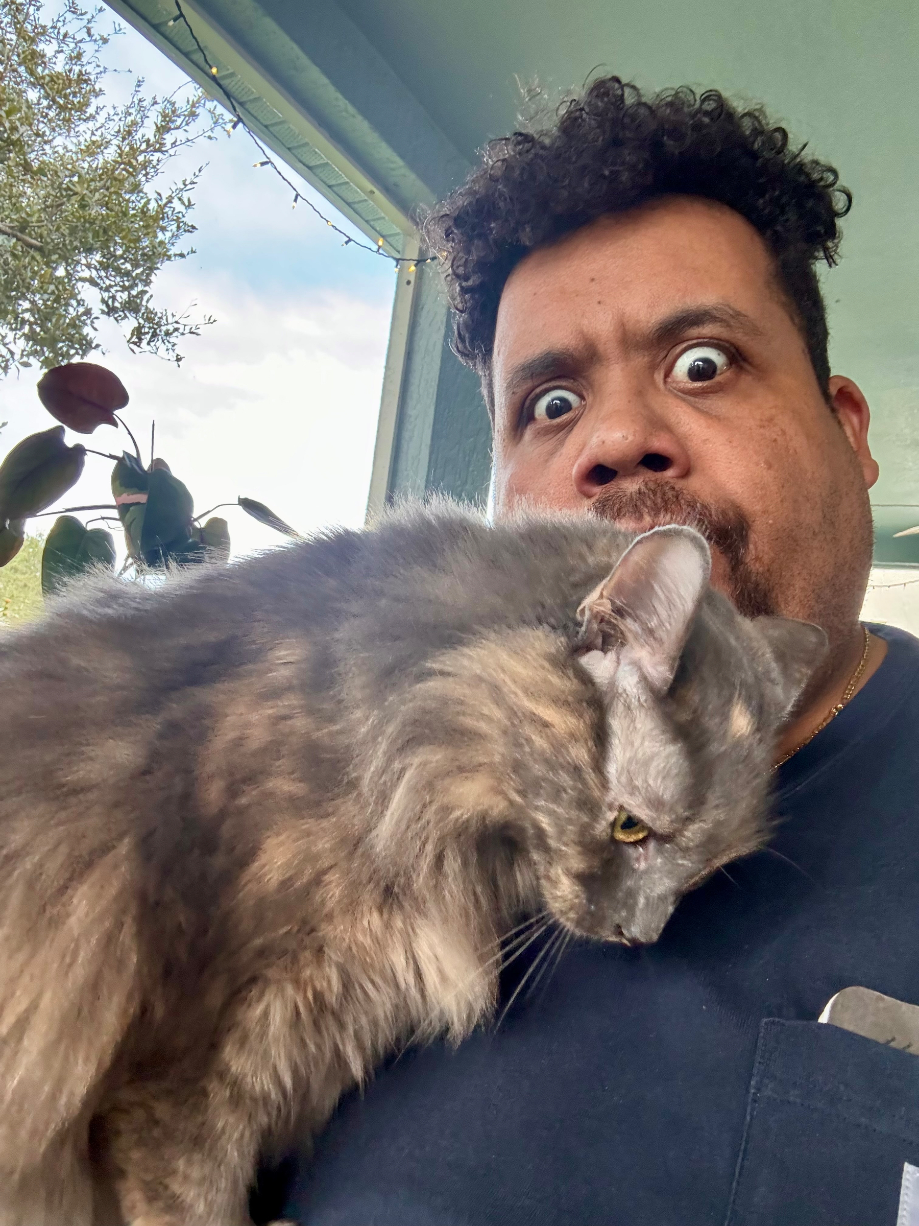 A man with an expressive face is holding a fluffy gray cat in front of him.