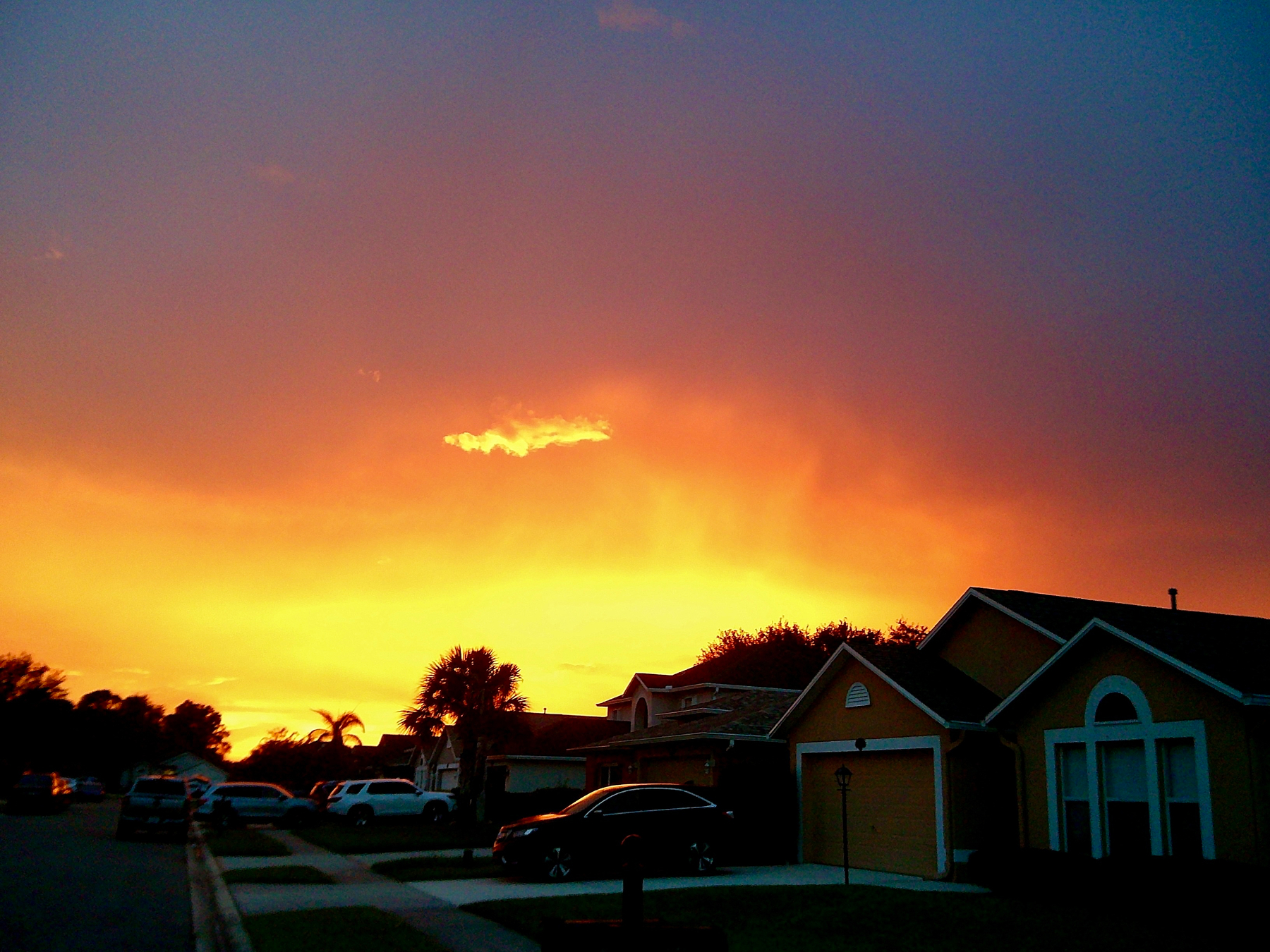 A vibrant sunset casts a golden glow over a suburban neighborhood with houses, cars, and palm trees.